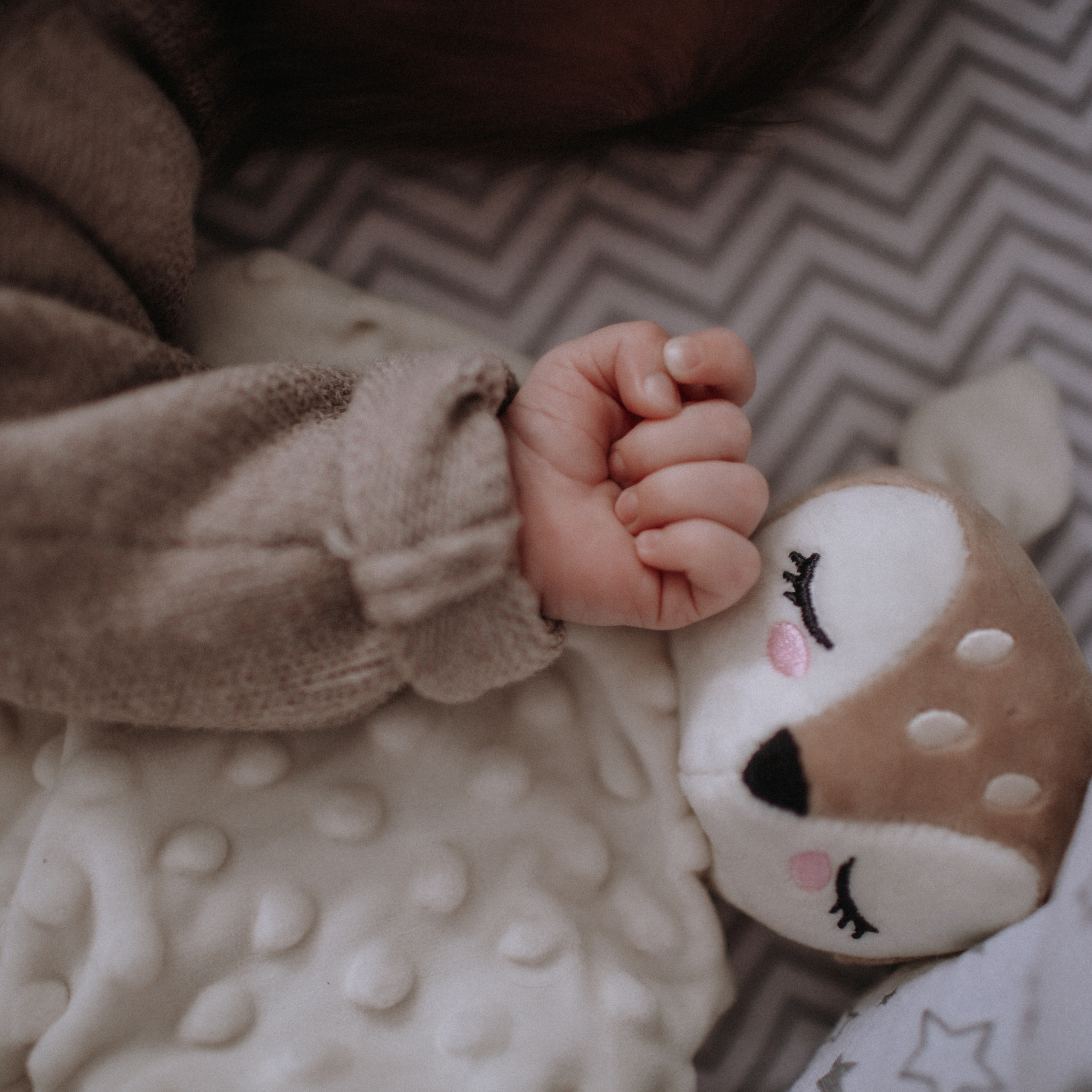 Отзывы. Фотограф в Архангельске Татьяна Дмитриева