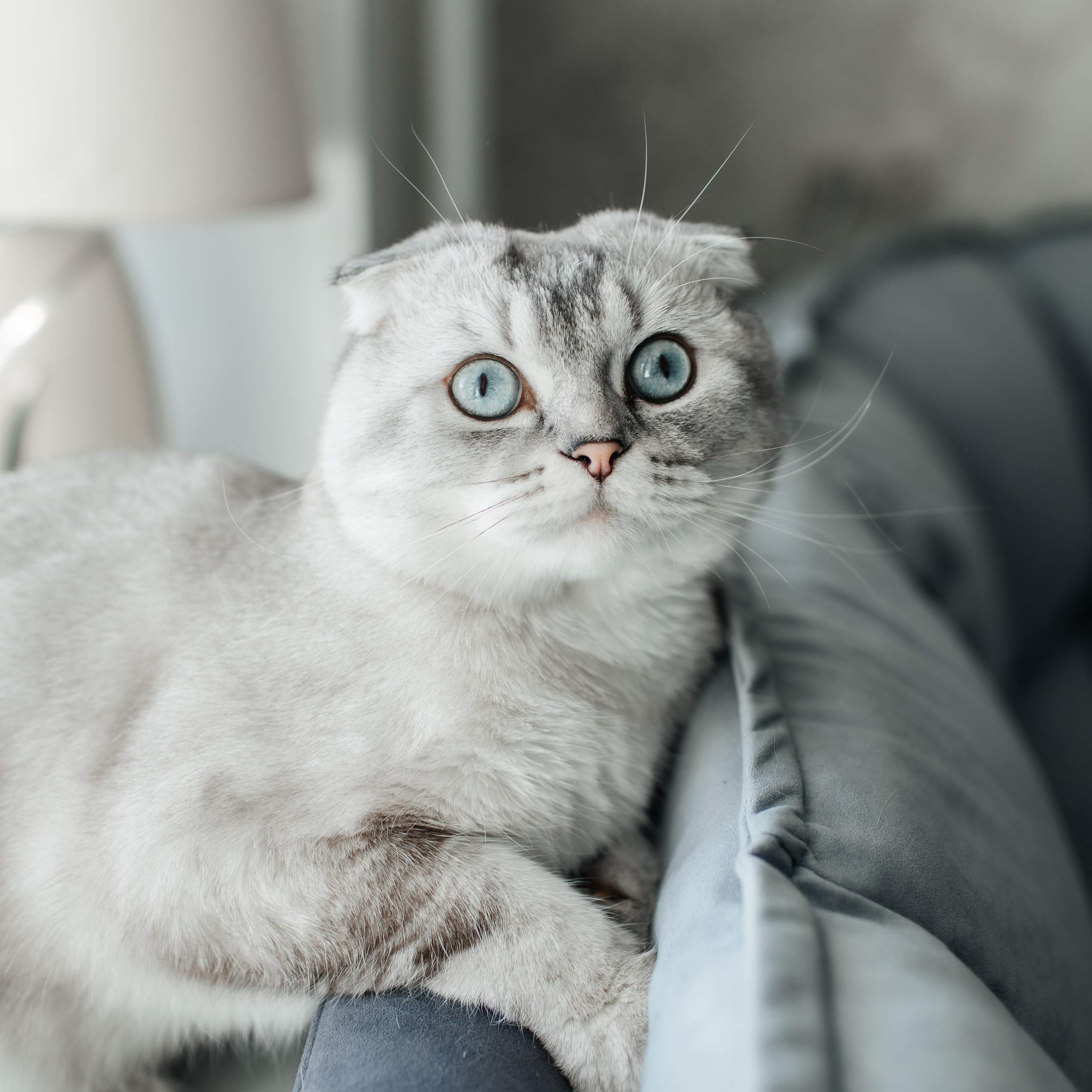 Отзывы. Фотограф в Архангельске Татьяна Дмитриева