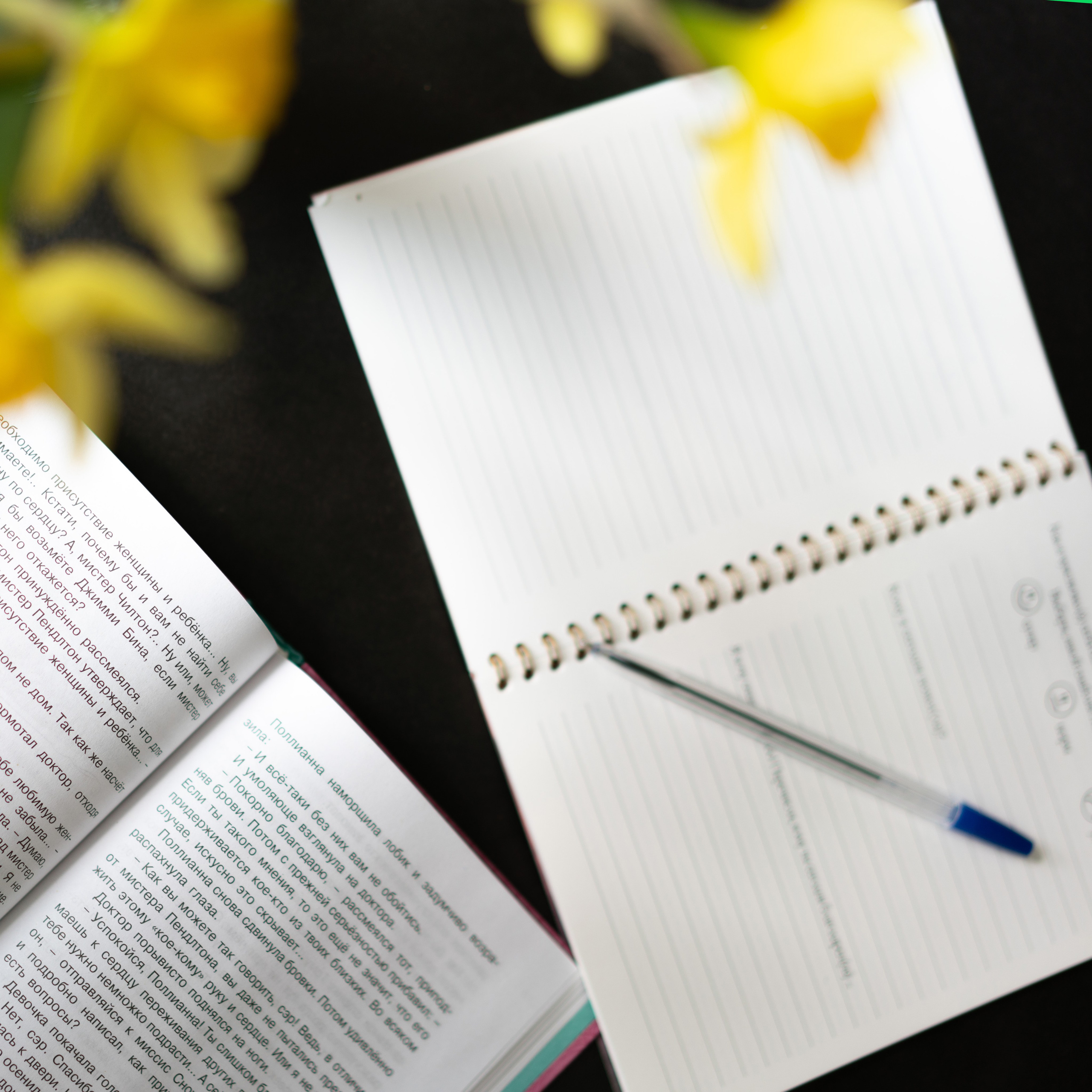 Он-лайн курс для международной школы английского языка Hop&Scotch