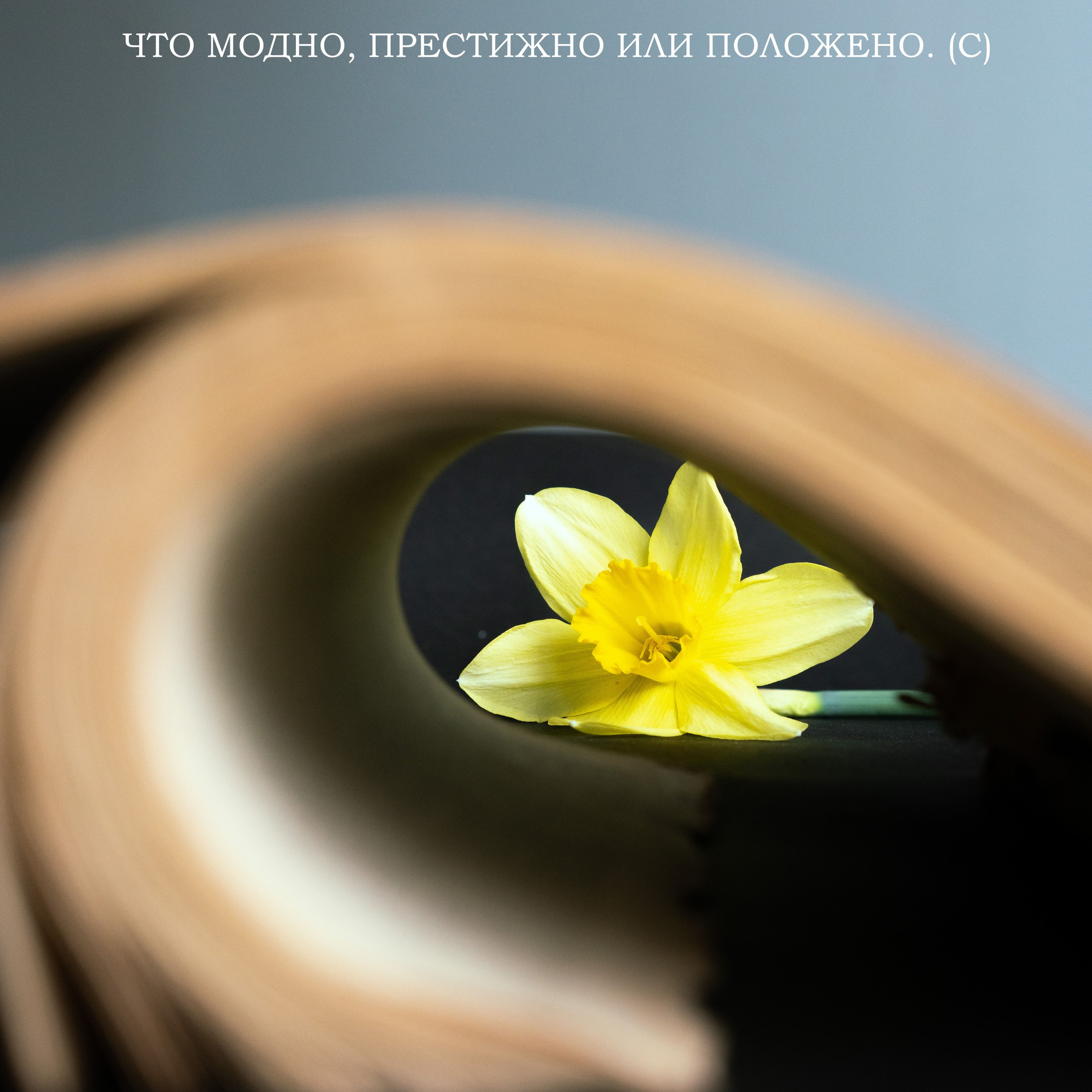 Обои. Видеооператор, фотограф в Санкт-Петербурге