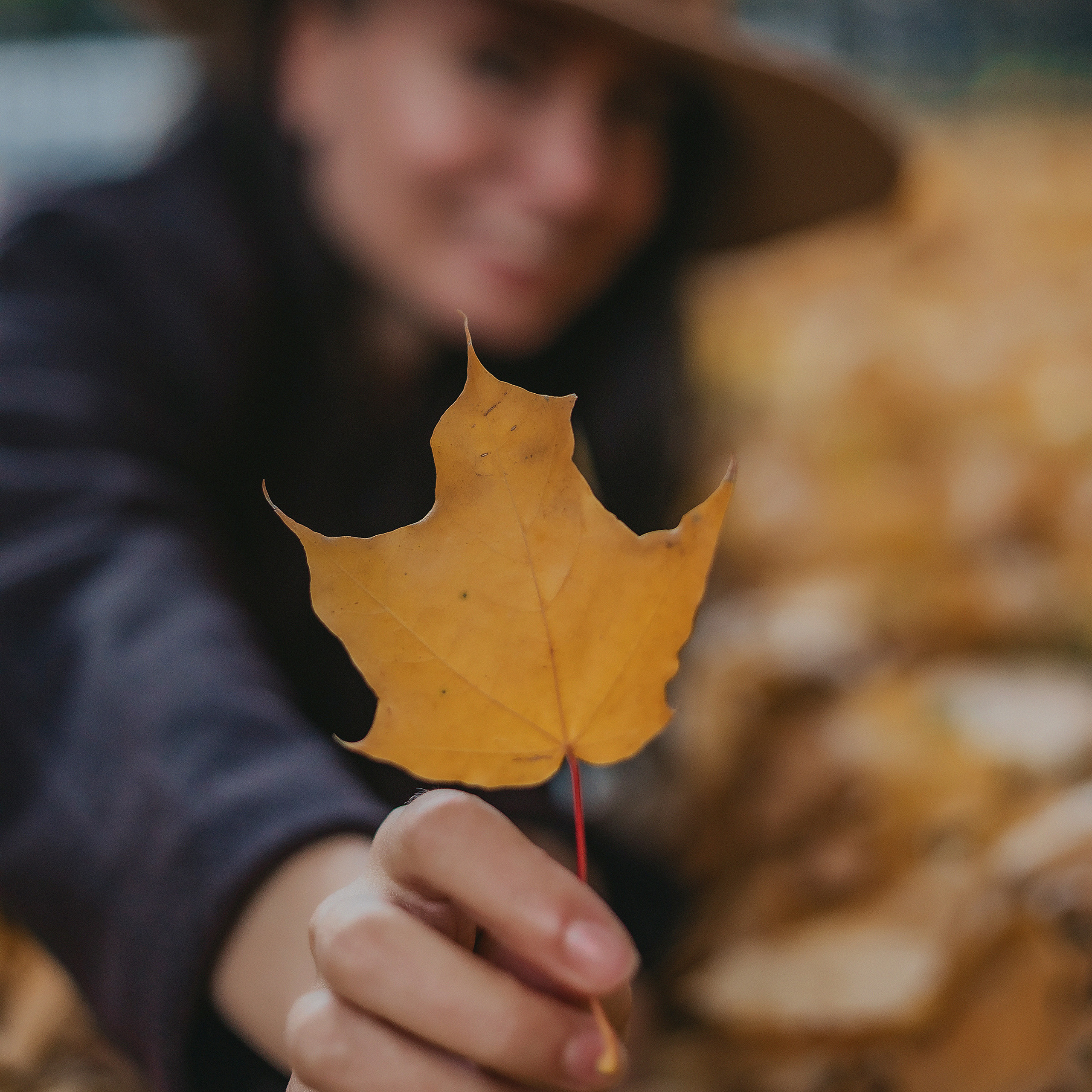 Октябрь. Олечка. Женские портреты осенью в парке. Осенняя фотосессия