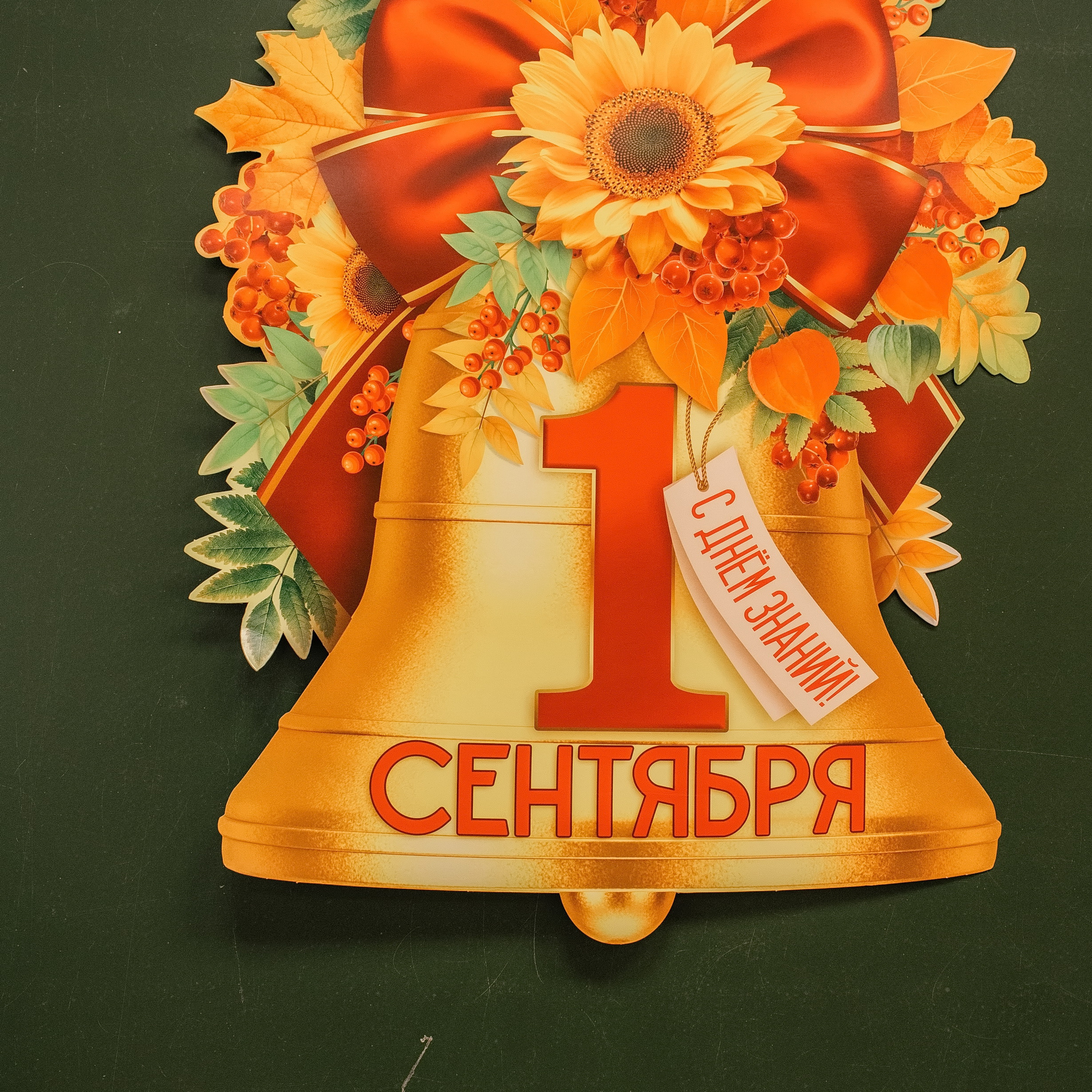 1 сентября. Репортажная съемка.