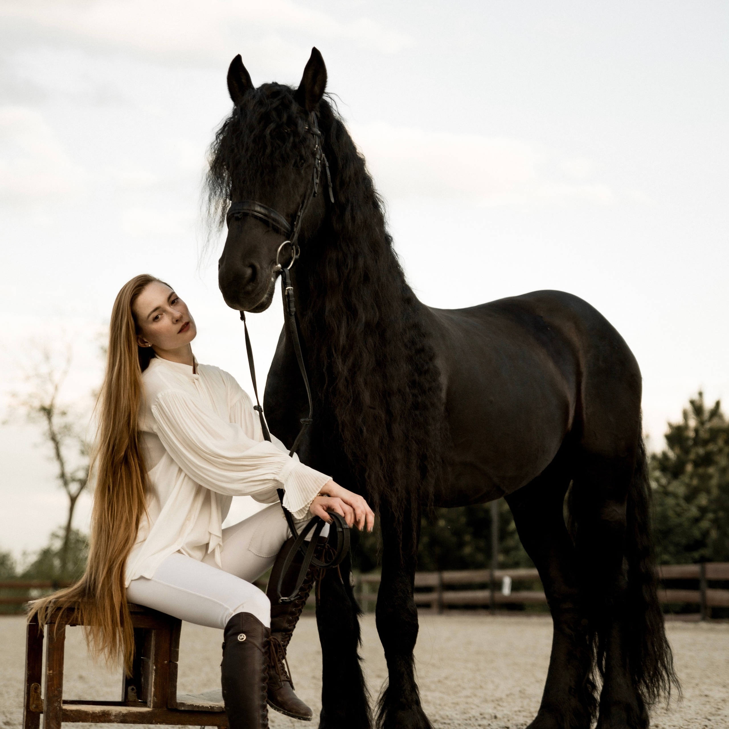 Съемка с лошадью фризской породы