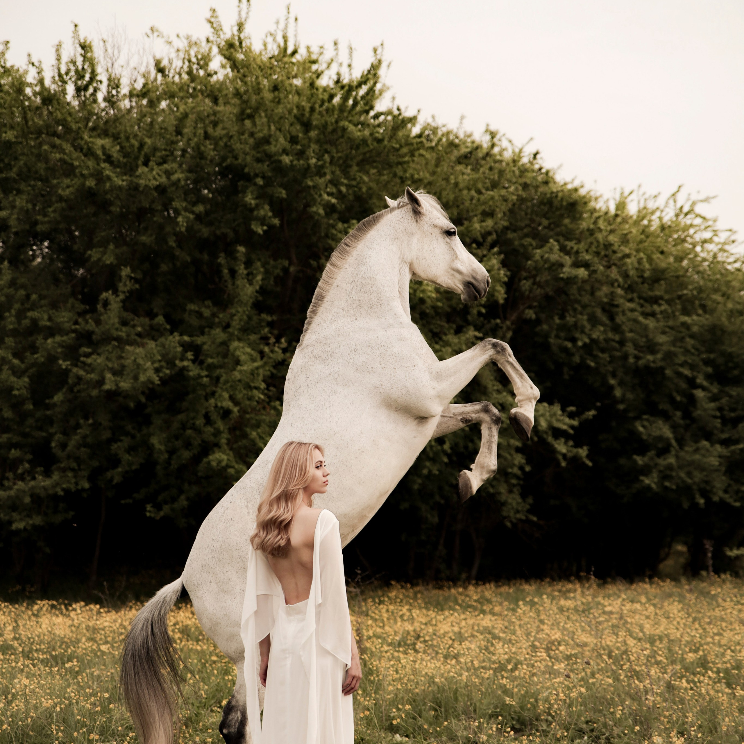 Фотопроект с трюковой лошадью Куклой