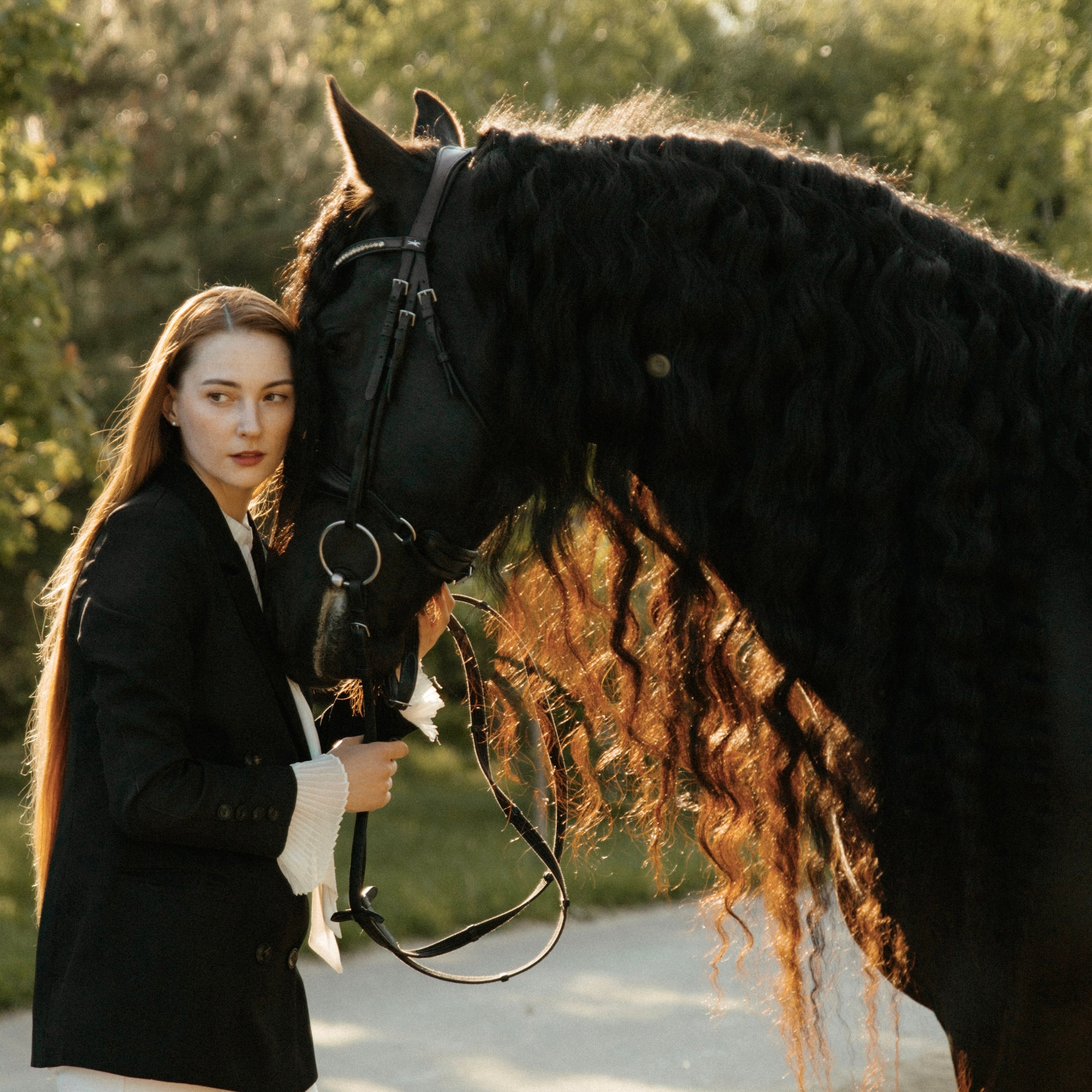 Съемка с лошадью фризской породы