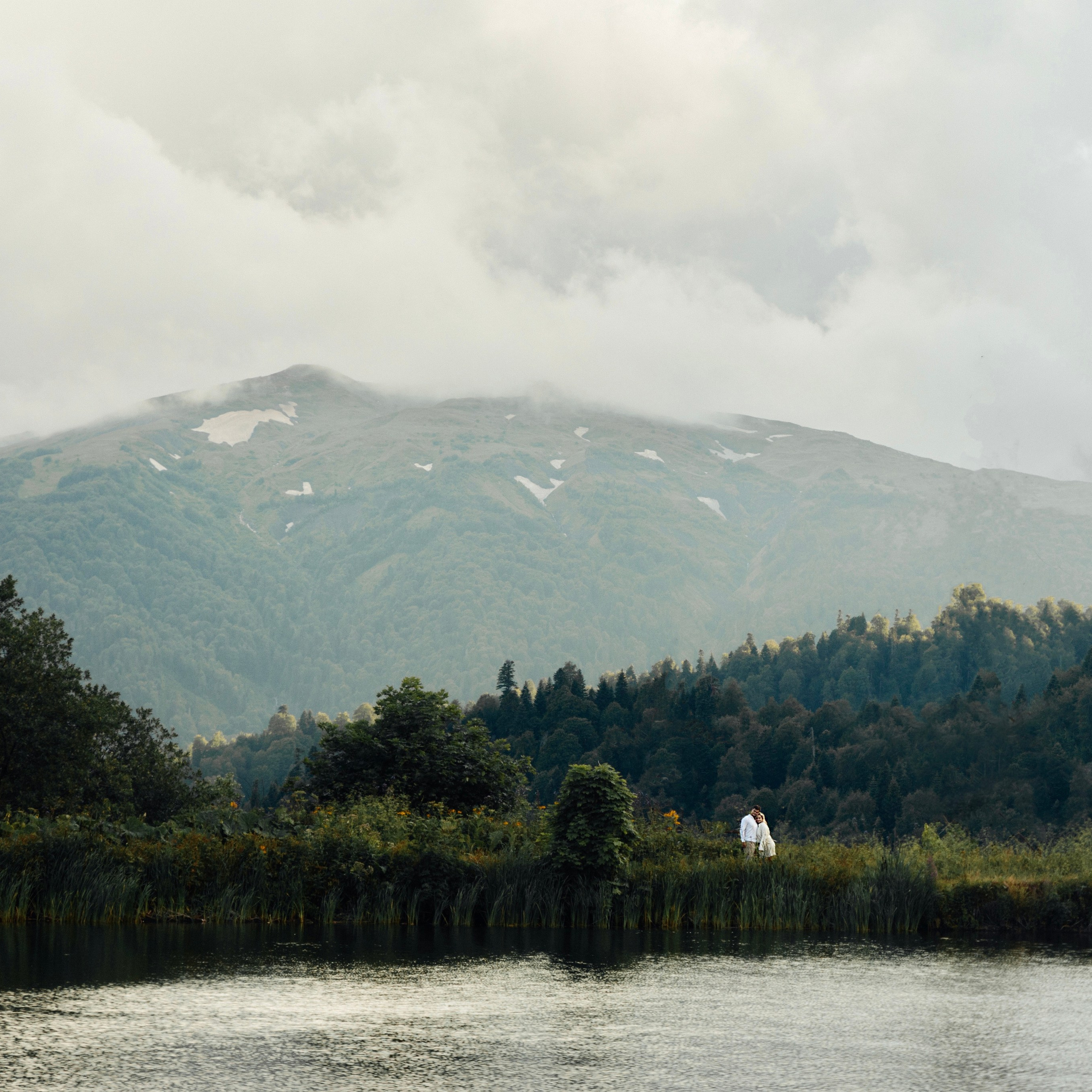 Яворова поляна, респ. Адыгея