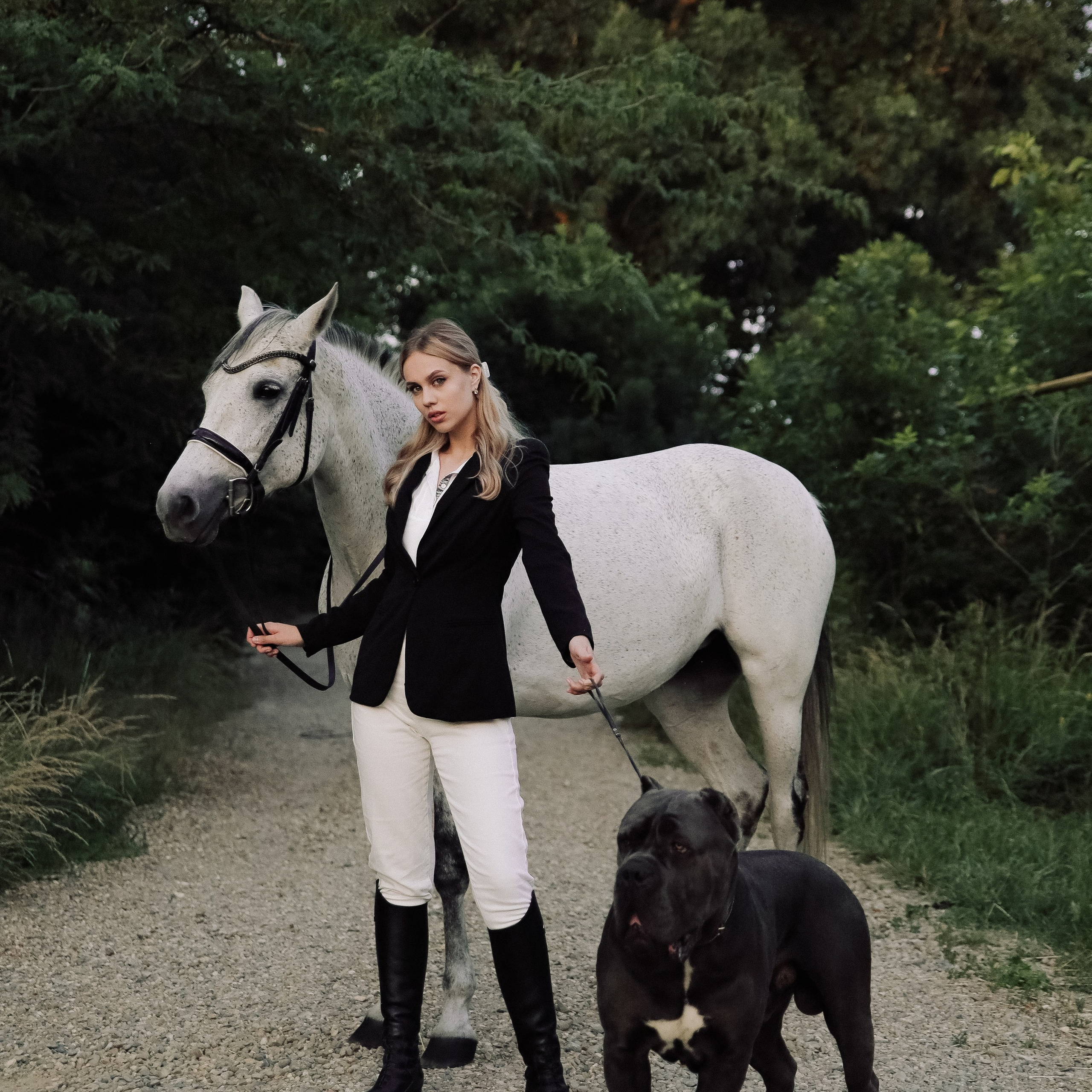 Фотопроект с лошадью Куклой и кане-корсо Цефеем