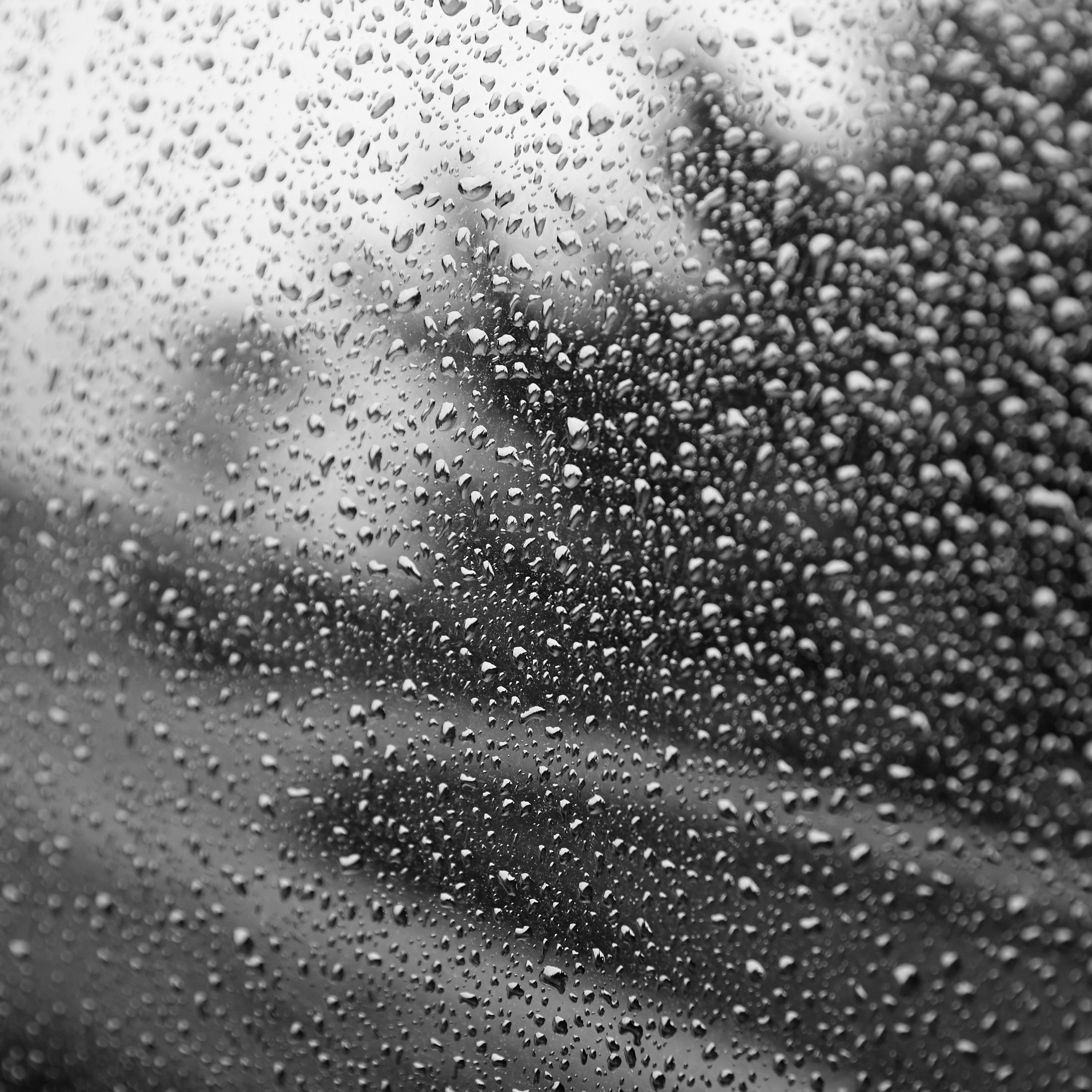 Отзывы. Профессиональный фотограф Светлана Писарева