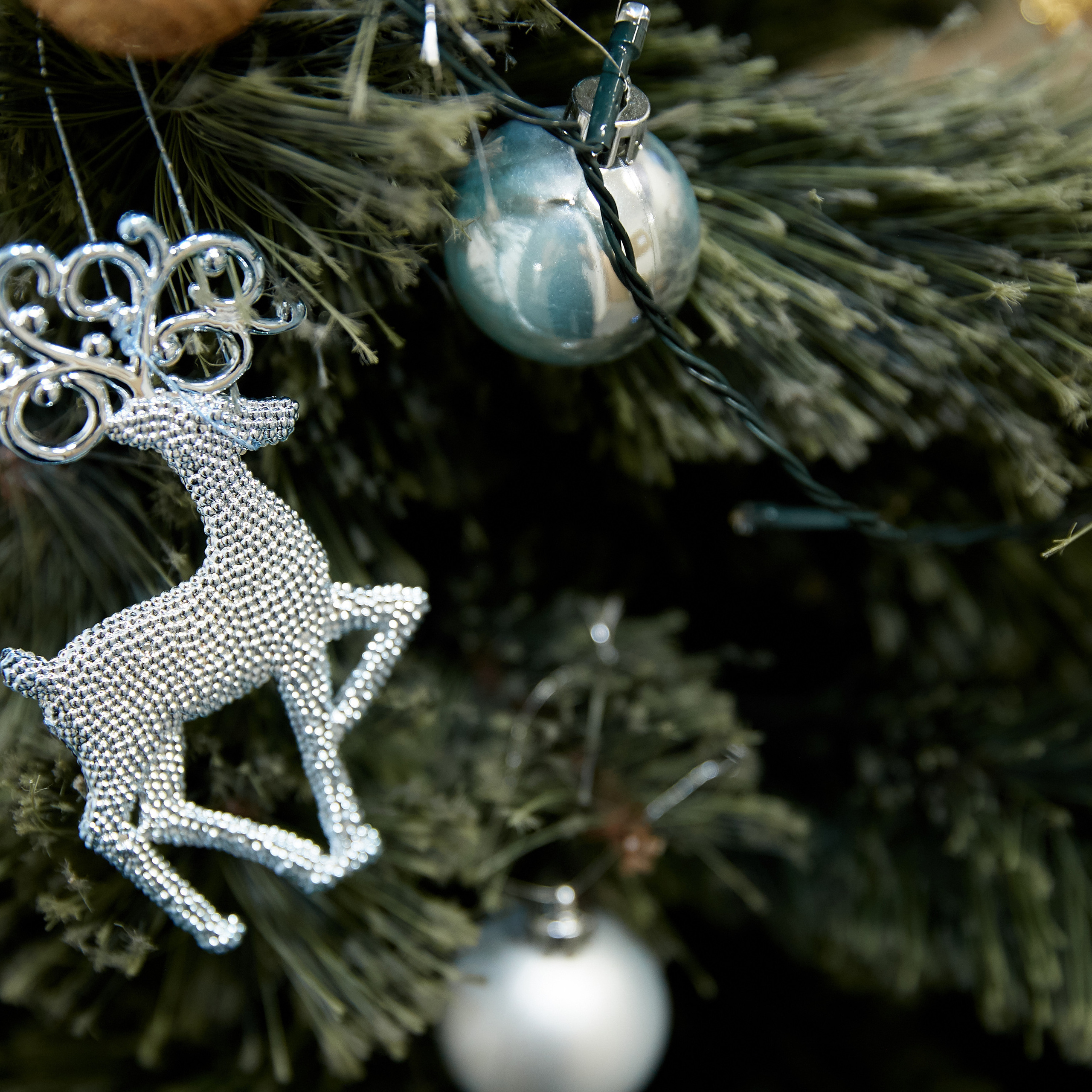 Отзывы. Профессиональный фотограф Светлана Писарева