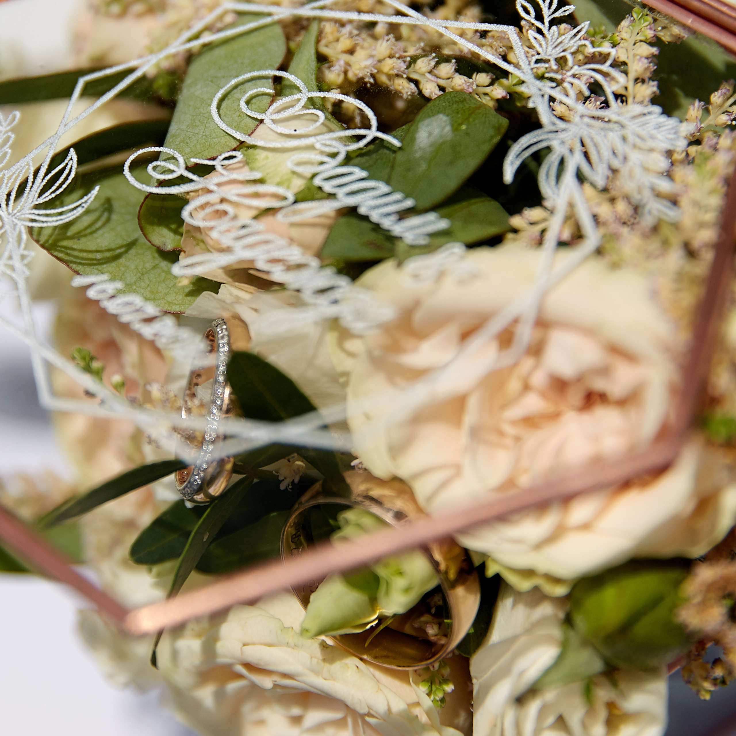 Отзывы. Профессиональный фотограф Светлана Писарева