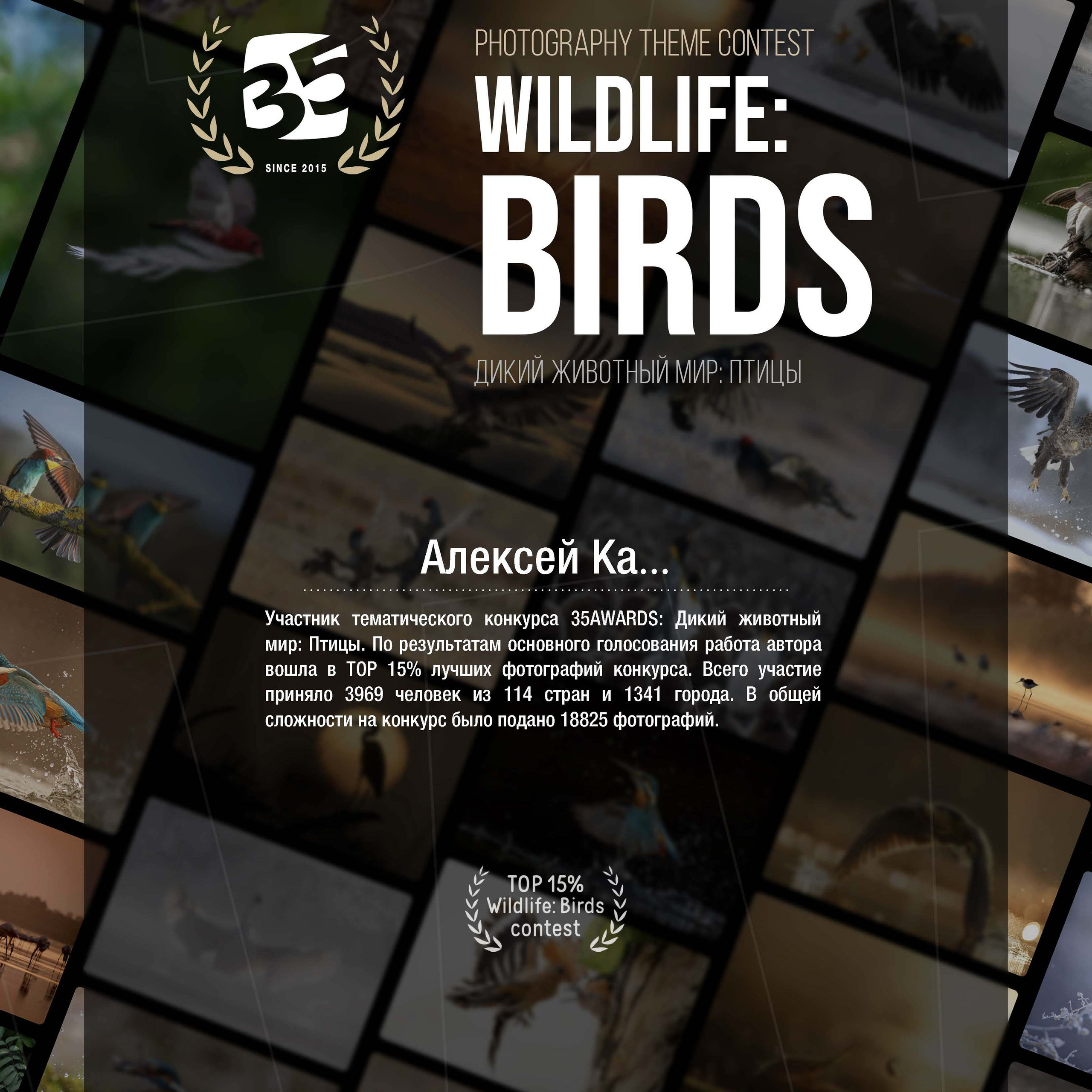 Награды. Фотограф Алексей Ка…