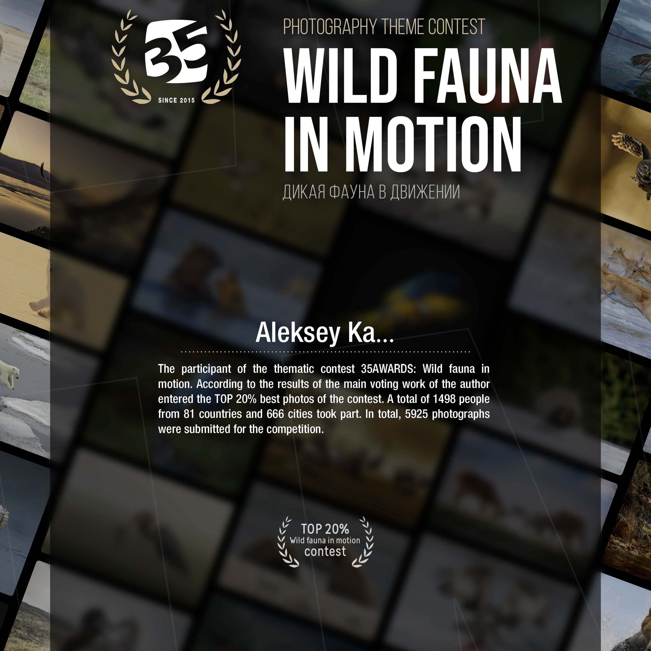 Награды. Фотограф Алексей Ка…