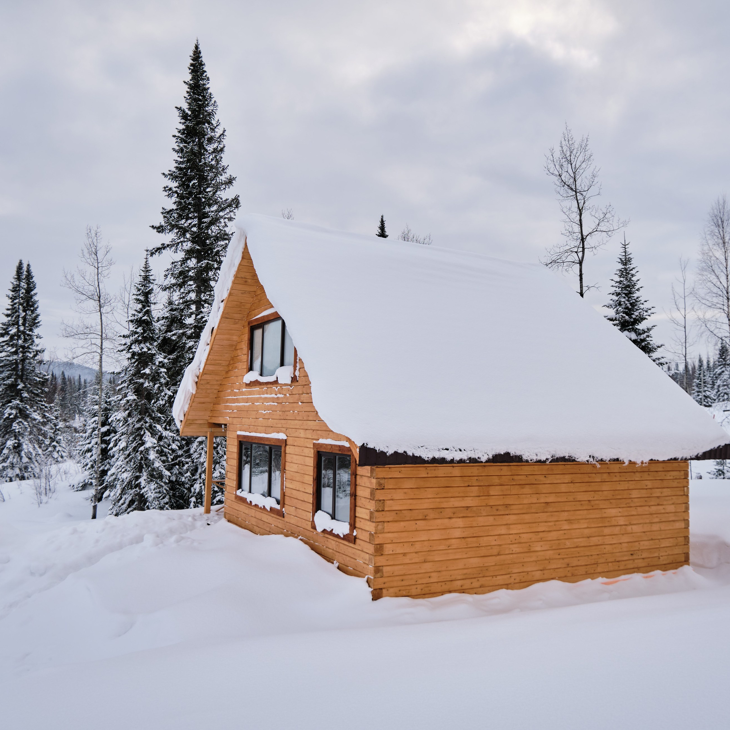 Цветочная ½