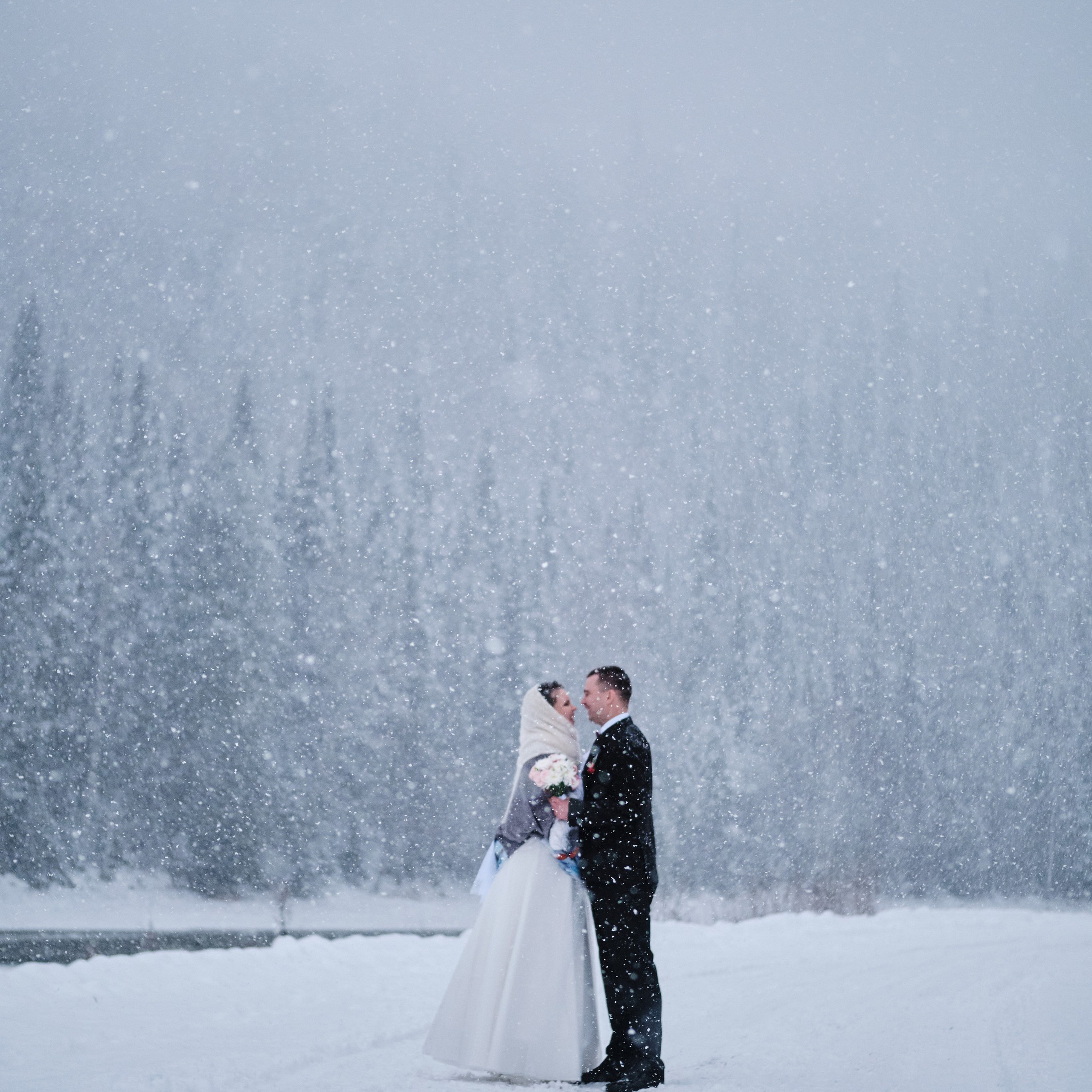 Отзывы. Свадебный и семейный фотограф в Новокузнецке Иван Иванов