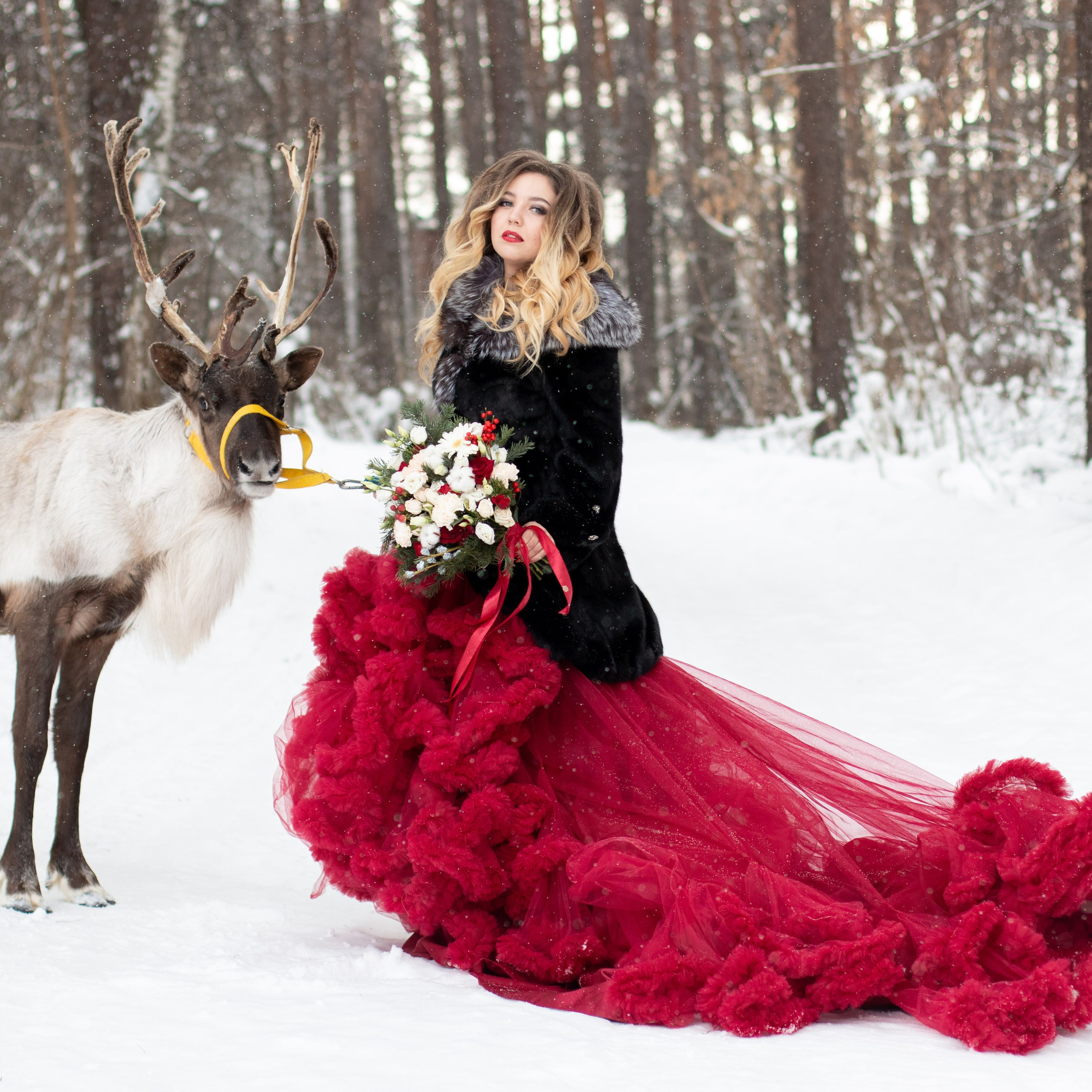 Фотосет с северным оленем