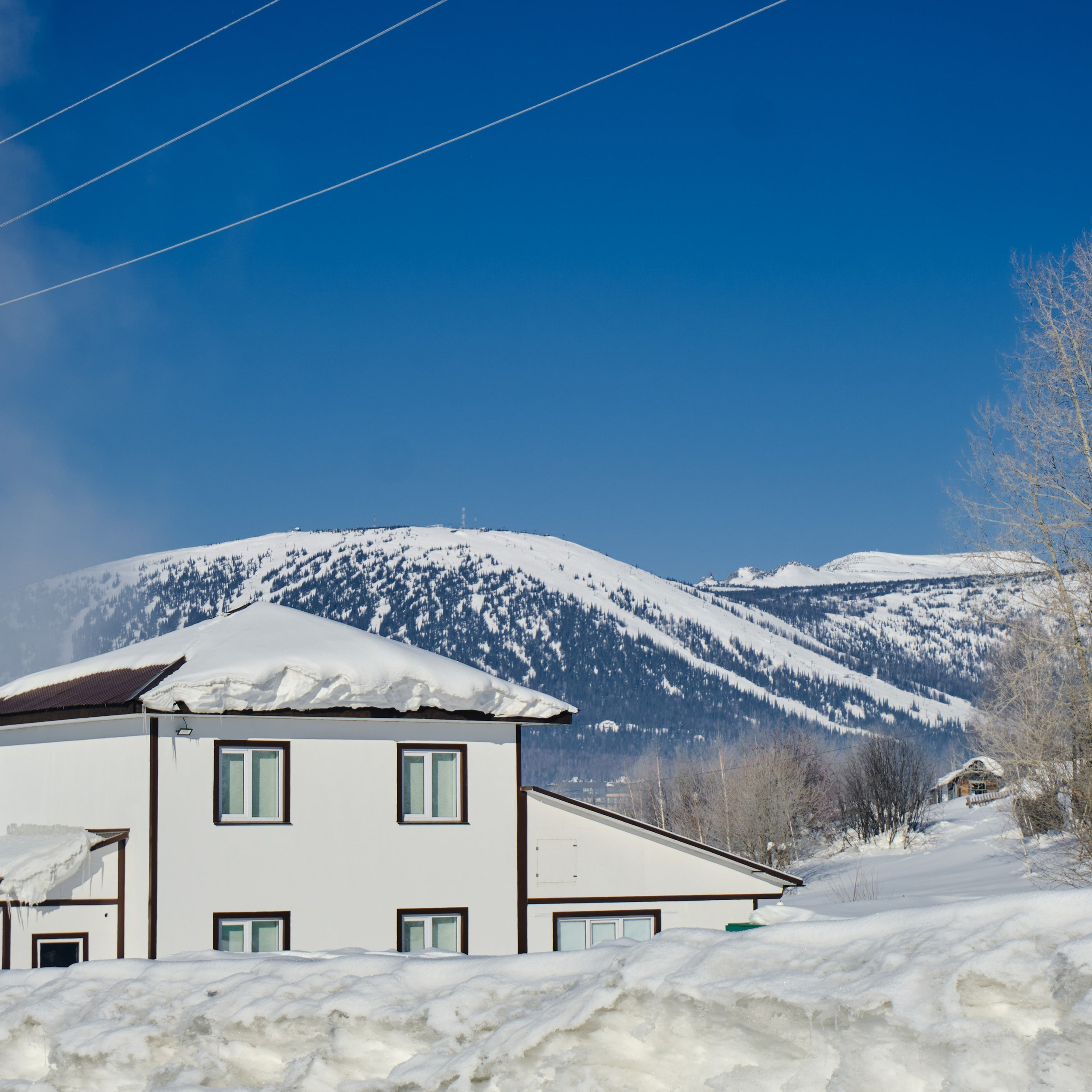 Цветочная 12