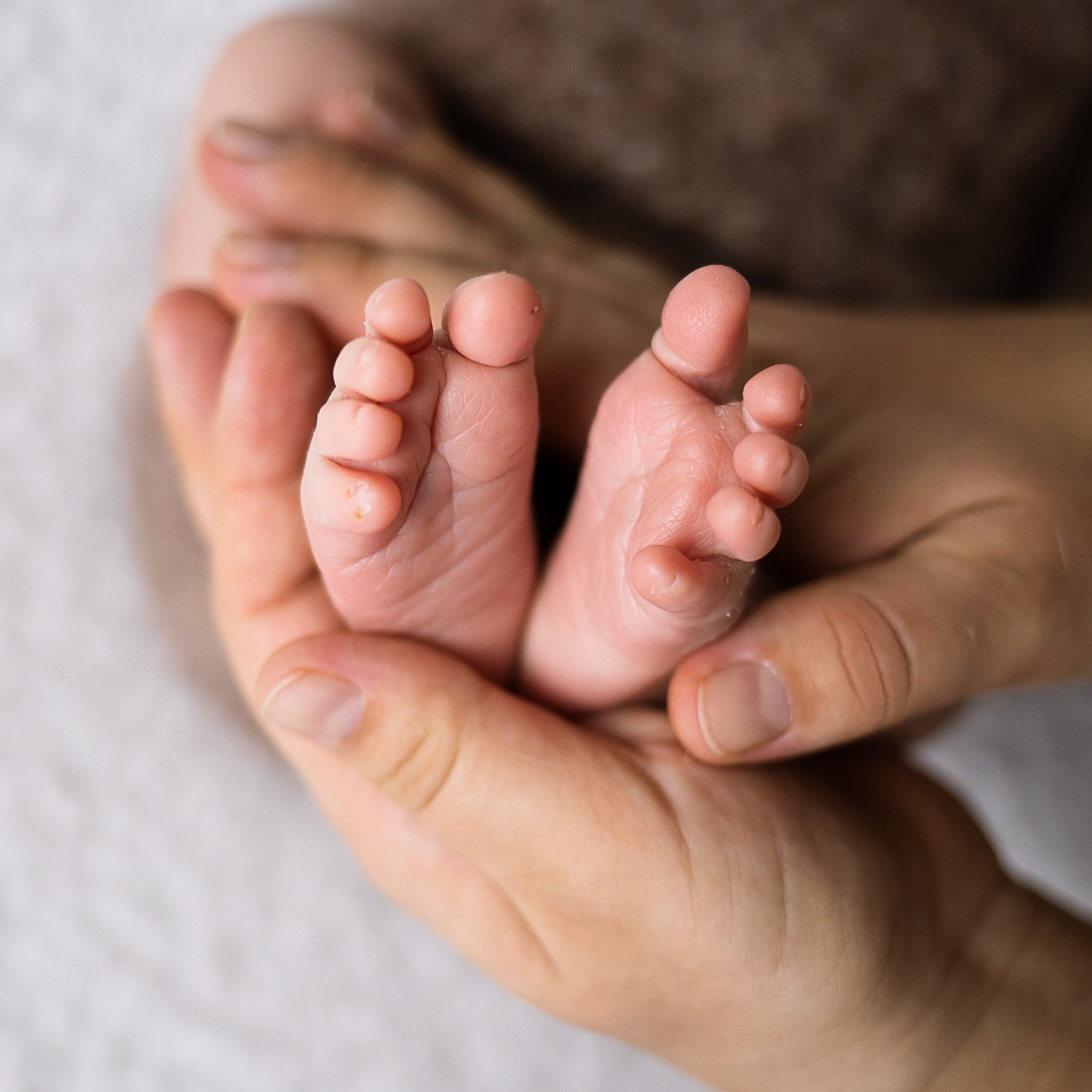 Отзывы. Фотограф новорожденных в Новосибирске