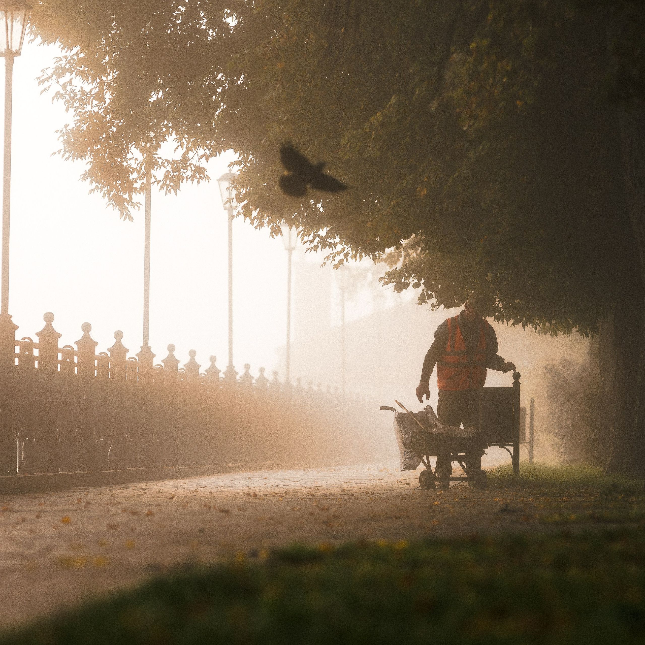 Репортажная съемка