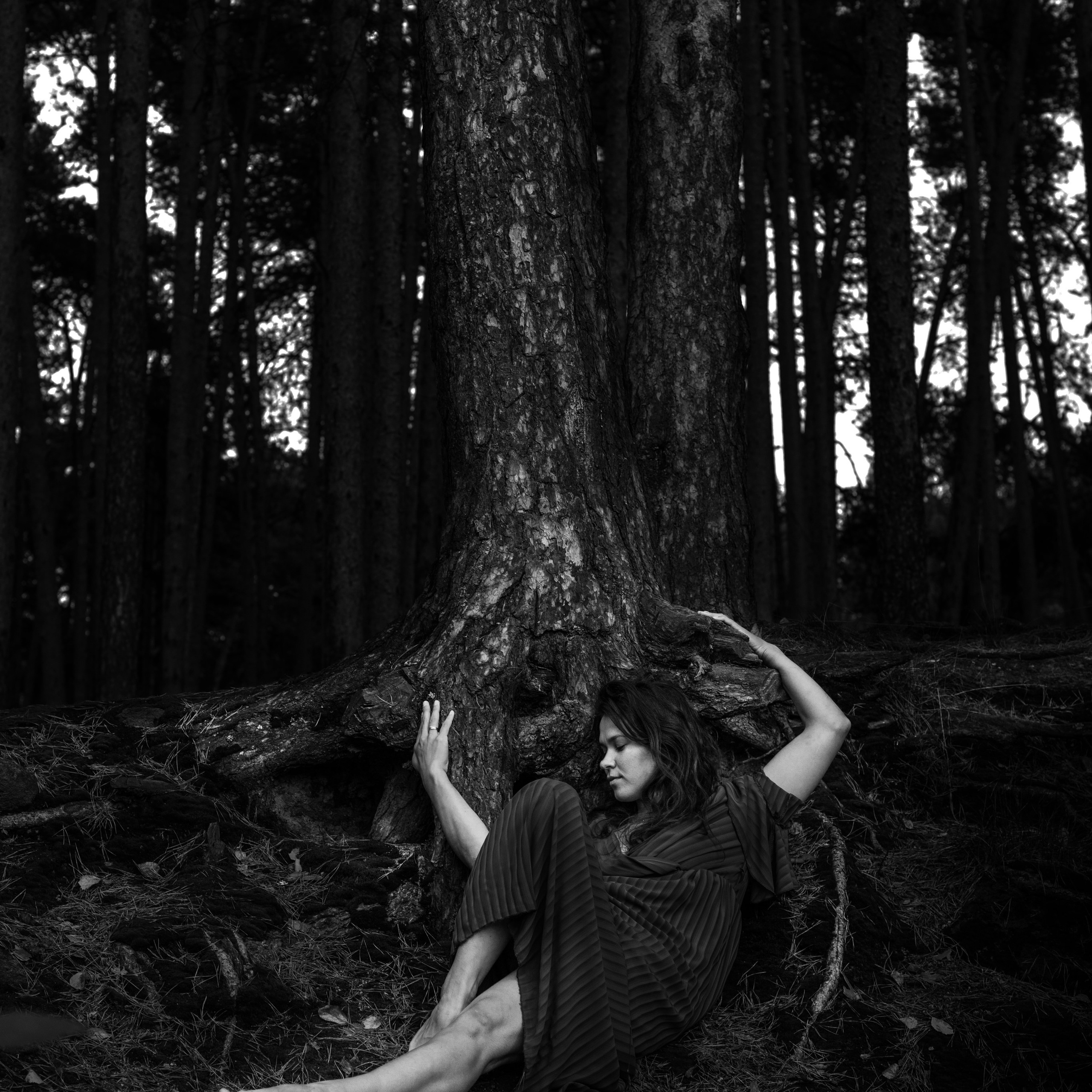 Без названия