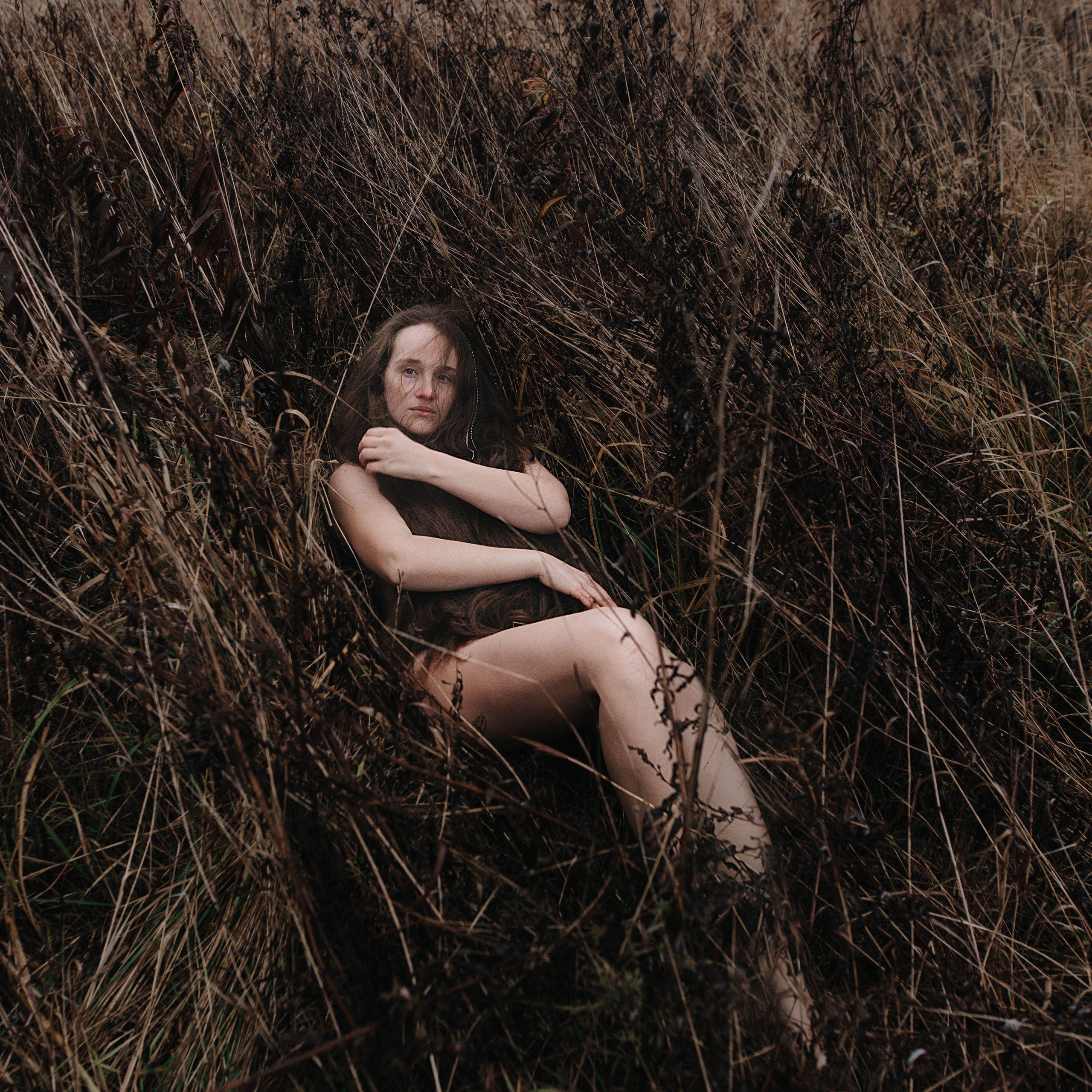 Без названия