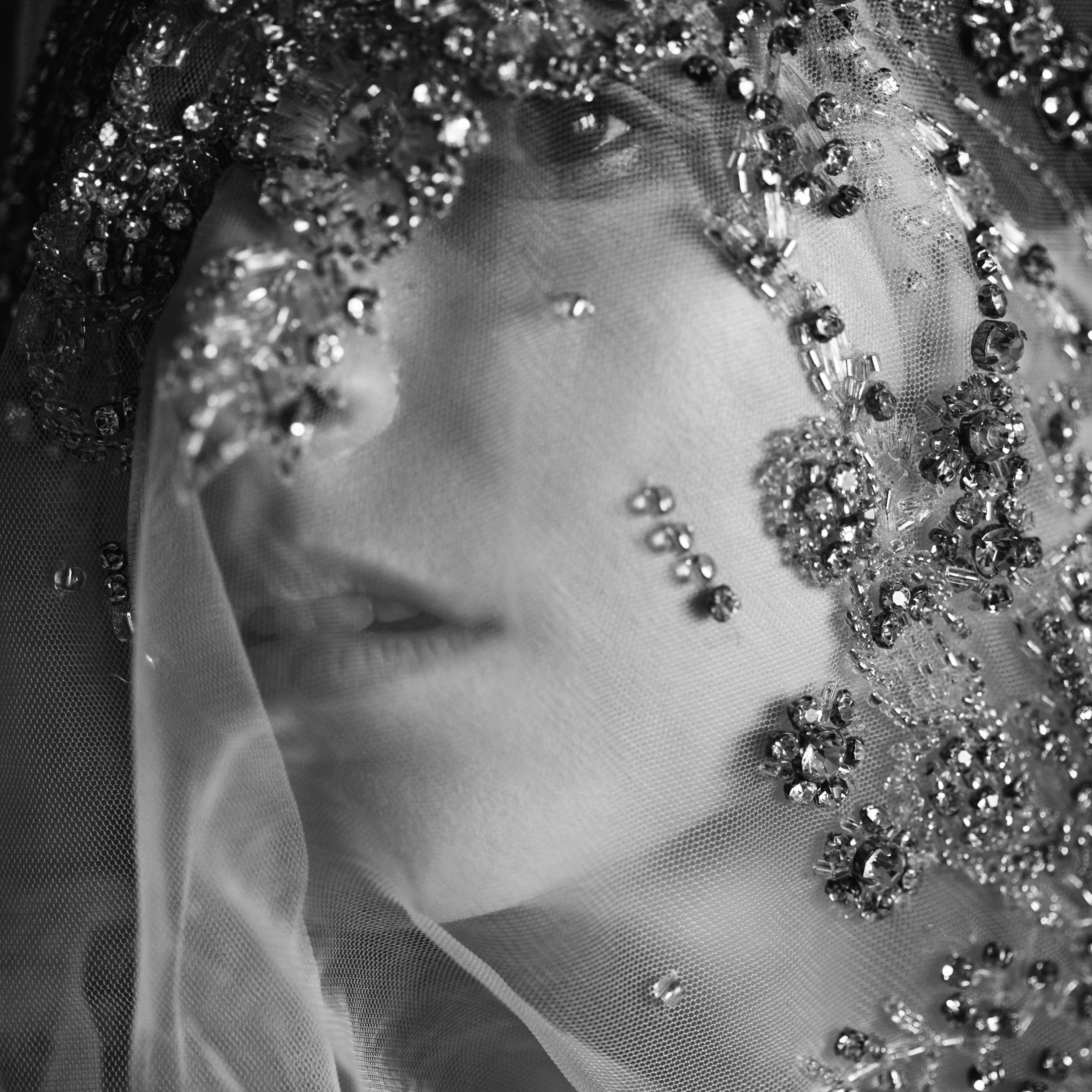 Без названия