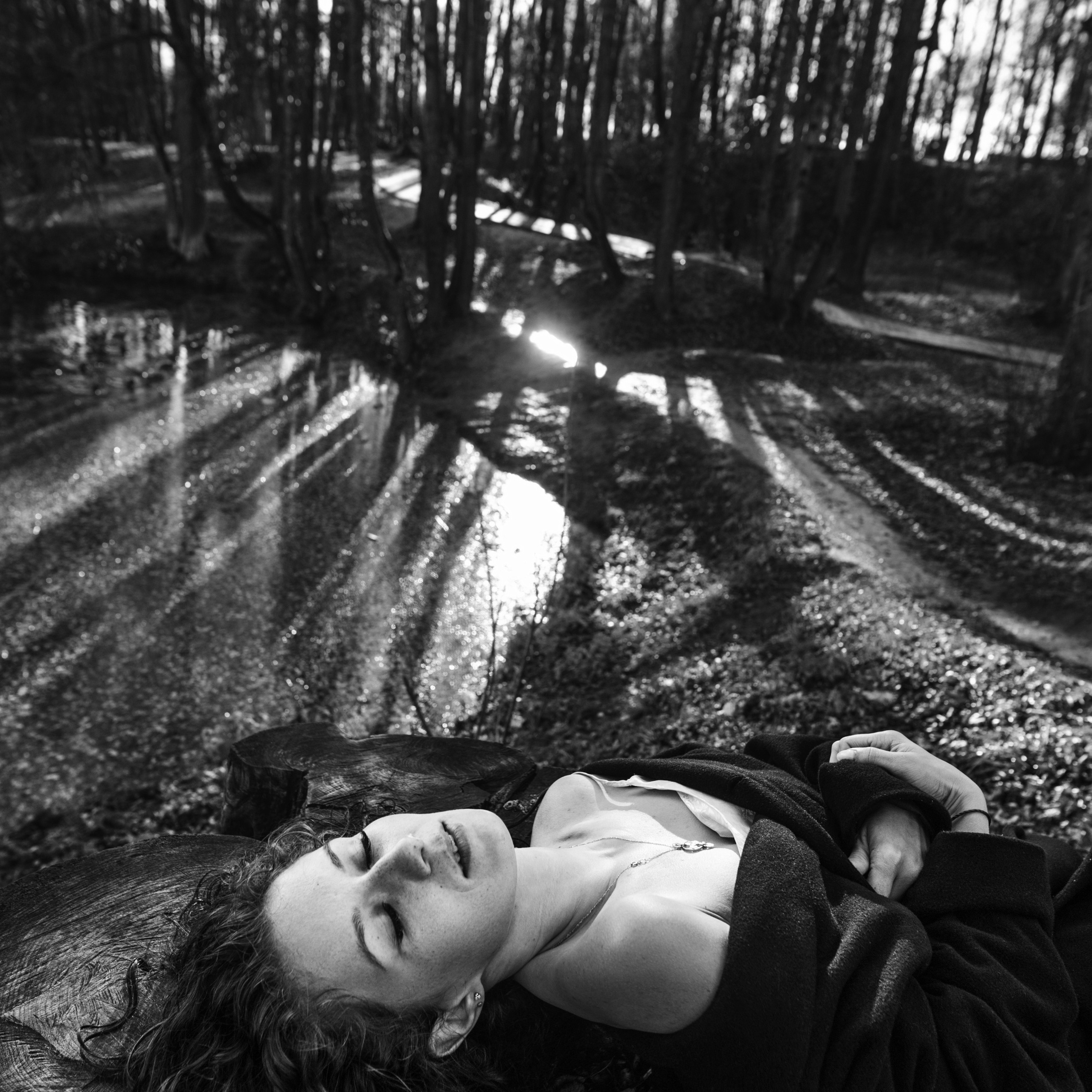 Без названия