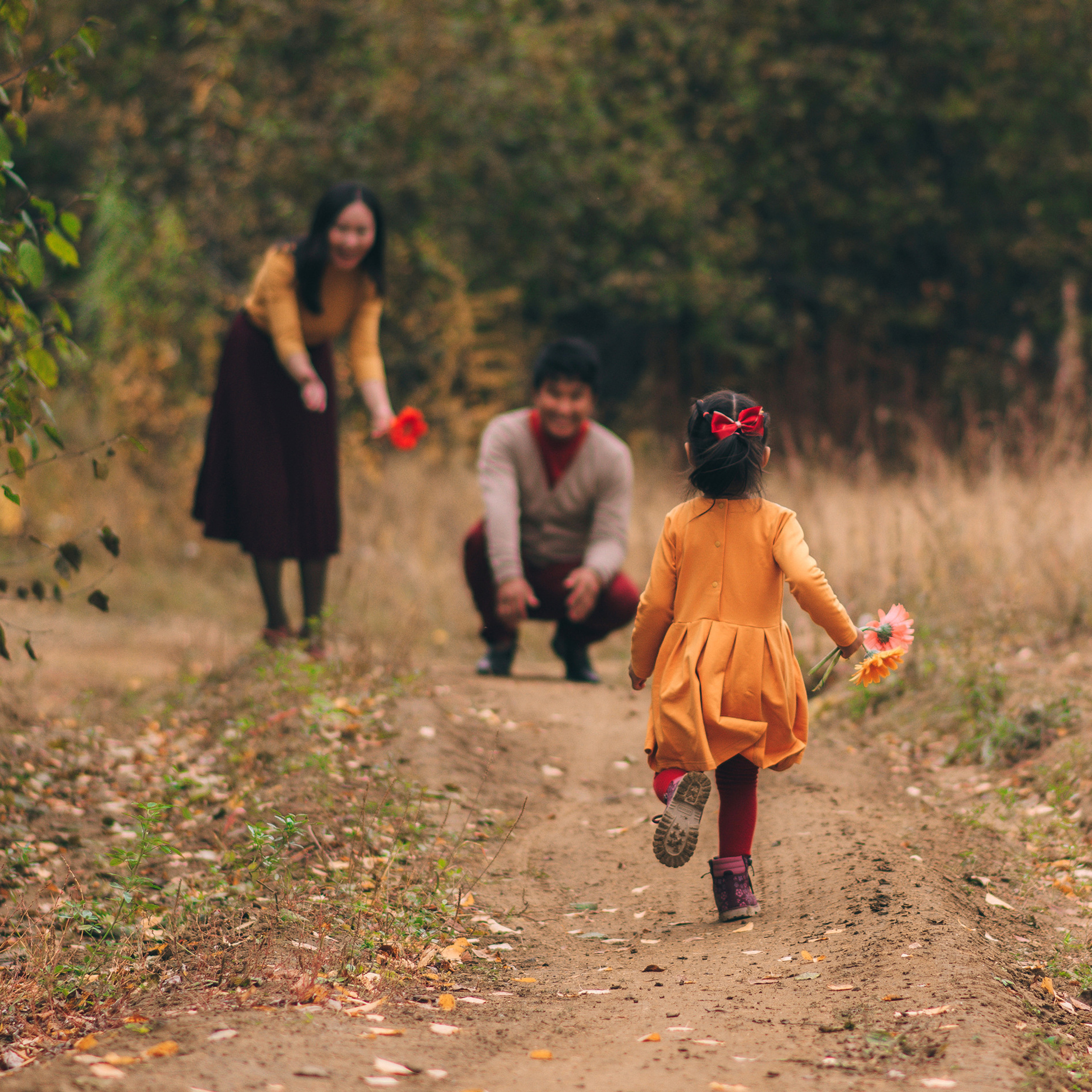 Осенний лес