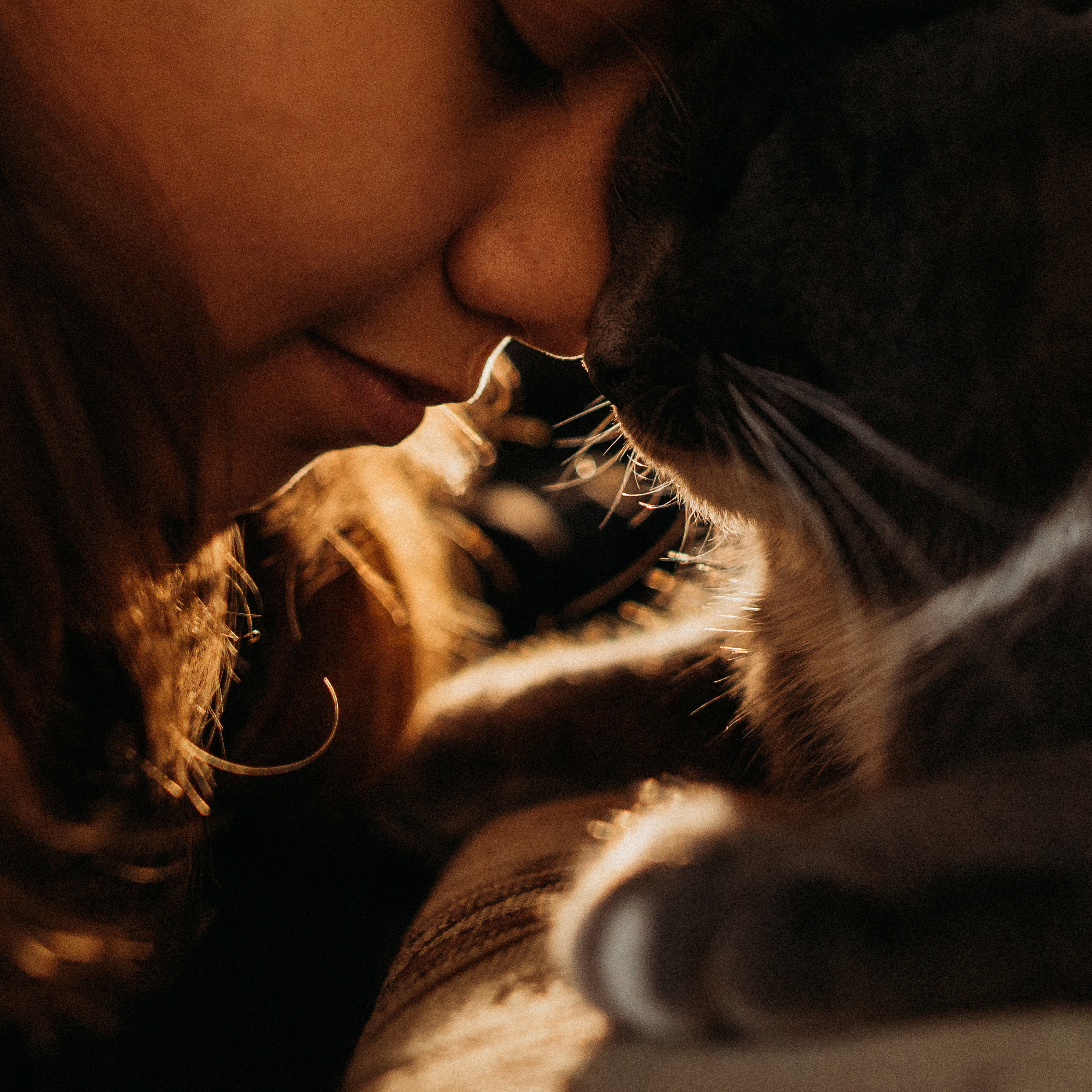 Кошка никогда не&nbsp;подружится с&nbsp;тем, кто не&nbsp;способен полюбить её