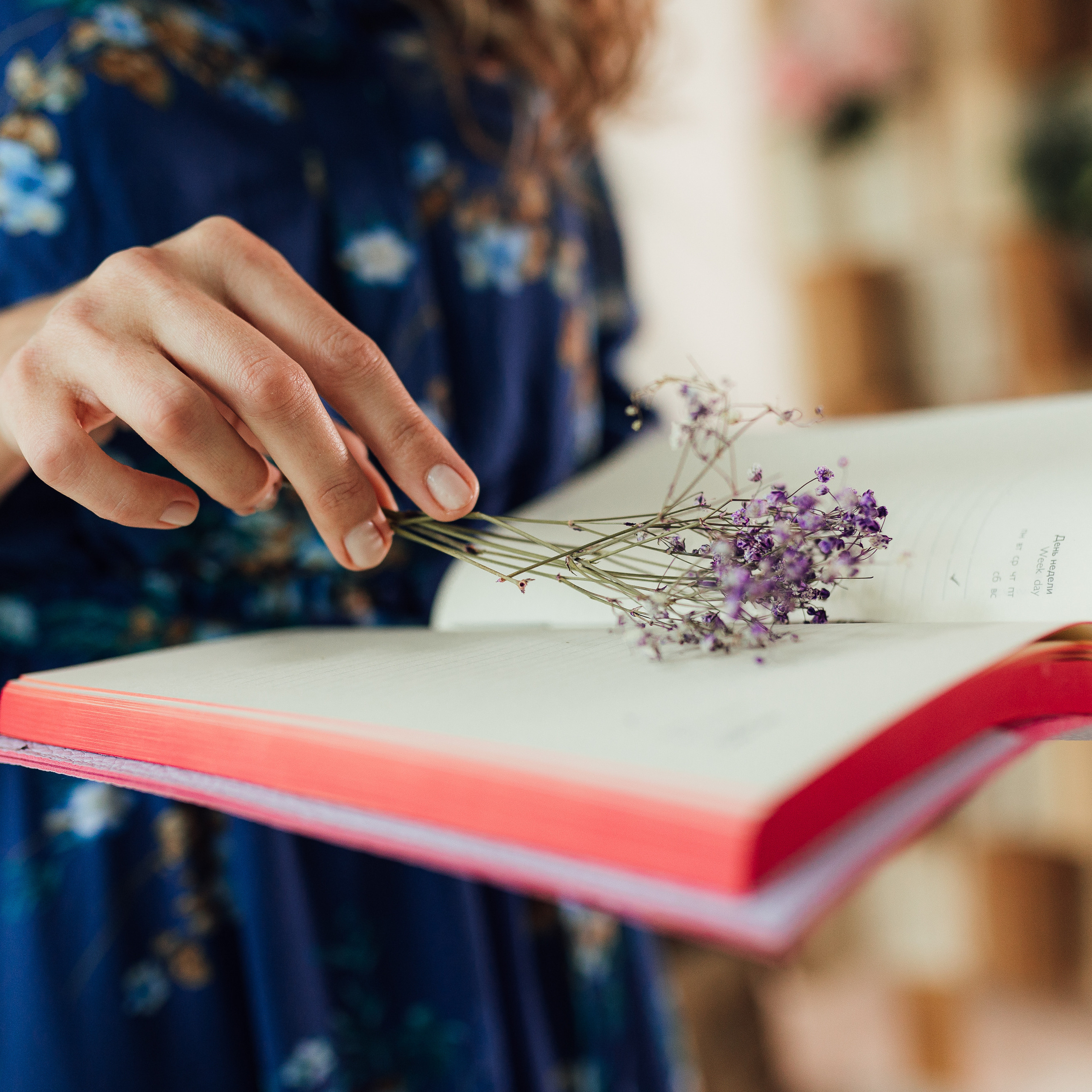 Отзывы. Семейный и свадебный фотограф в Донецке Елена Гордеева