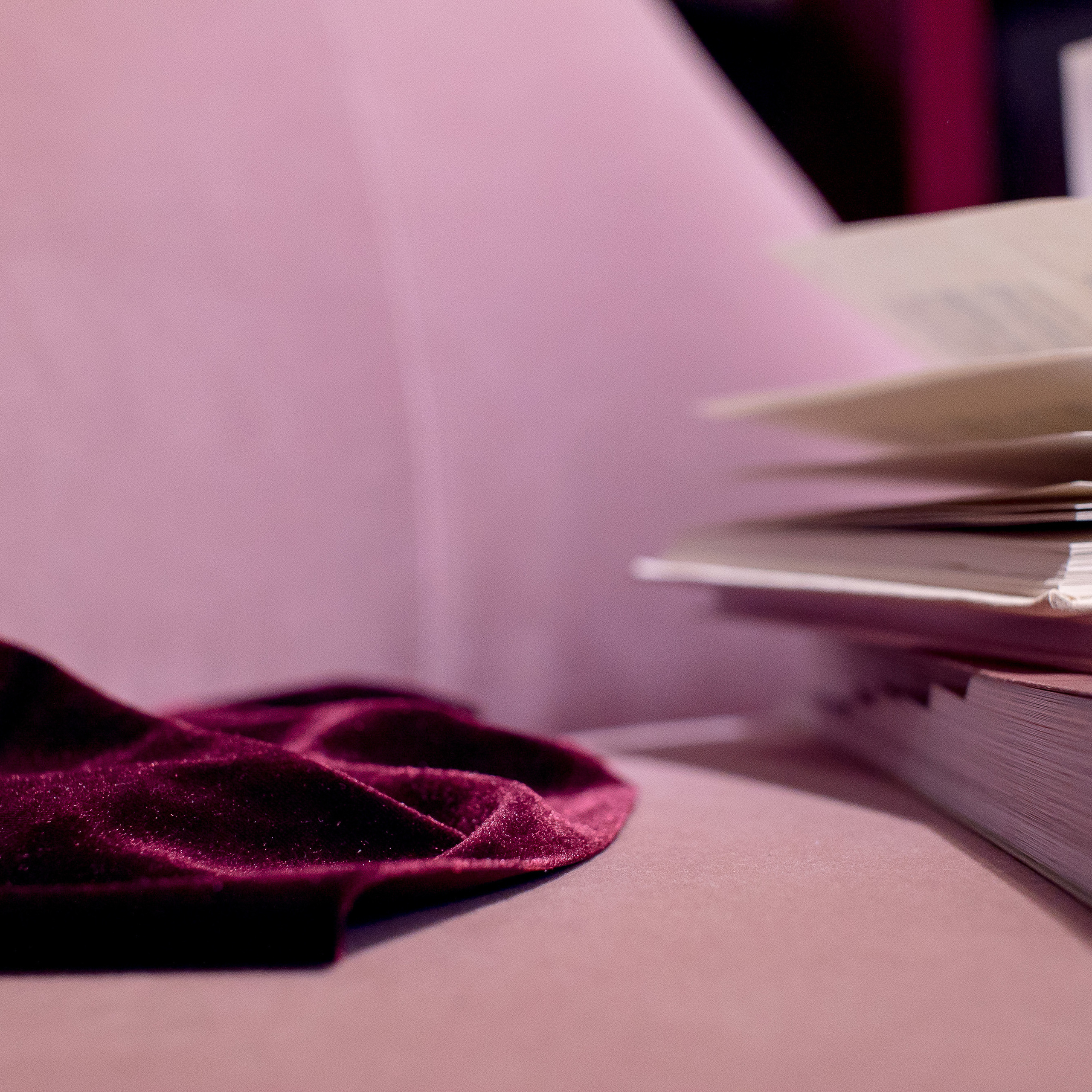 Interior photographer Max Matvich. Max Matvich and Victoria Basova are professionals in their field