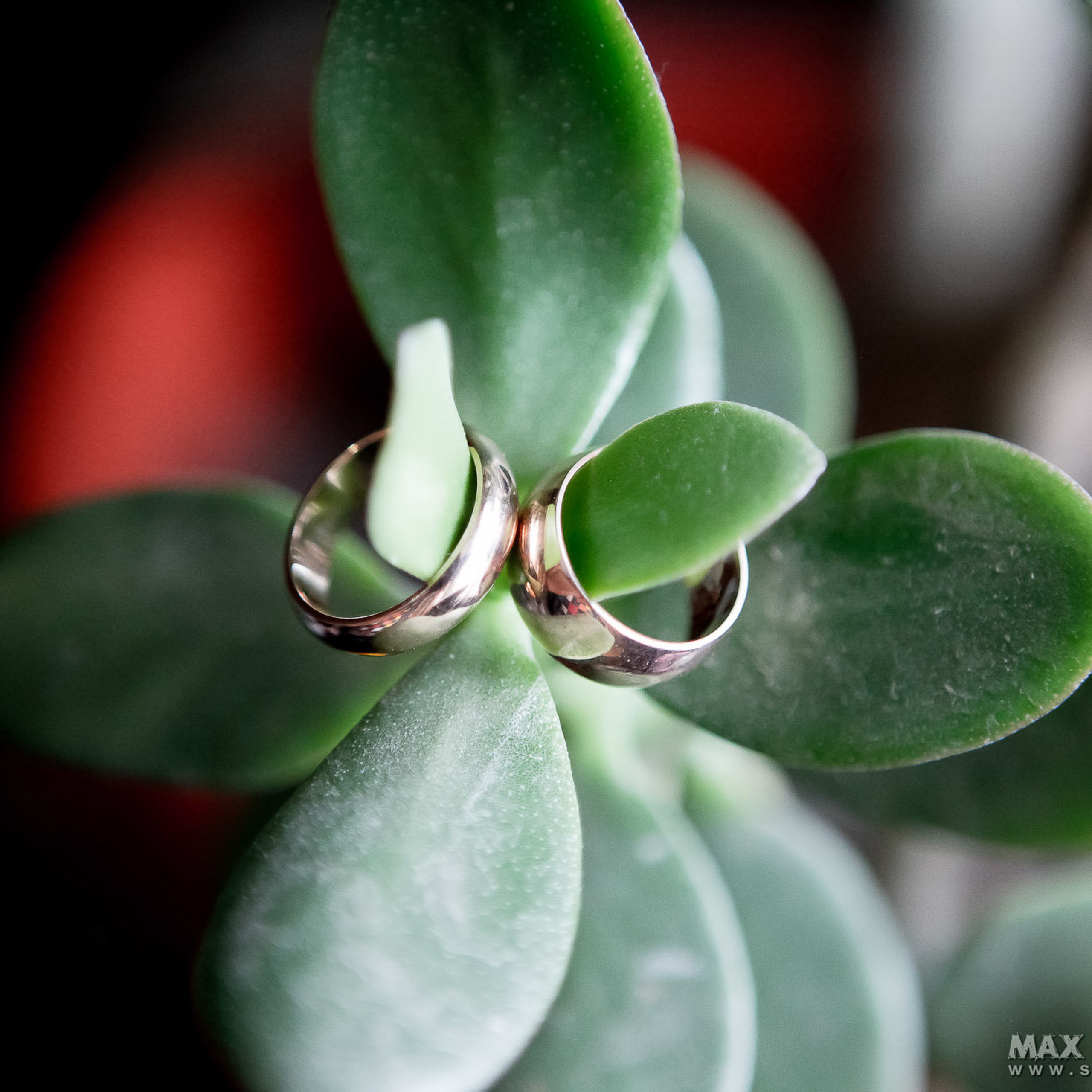 Свадебный фотограф в Ростове-на-Дону. Свадебная фотография в Ростове-н. Максим Матвийченко и Виктория Басова профессионалы своего дела