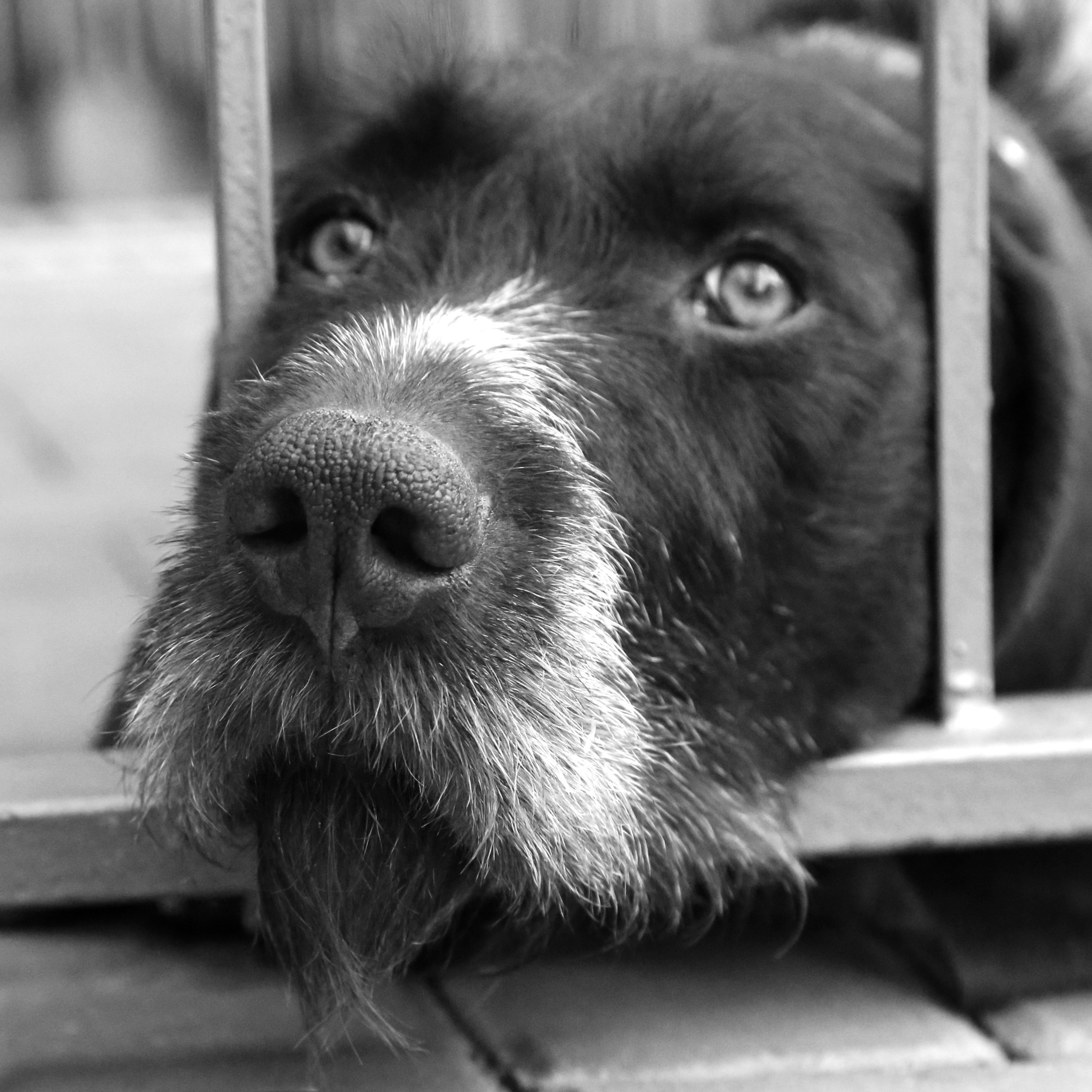 Работы студентов. Продвинутый уровень (1 и 2 ступень) . Интенсив "Художественно…. Максим Матвийченко и Виктория Басова профессионалы своего дела