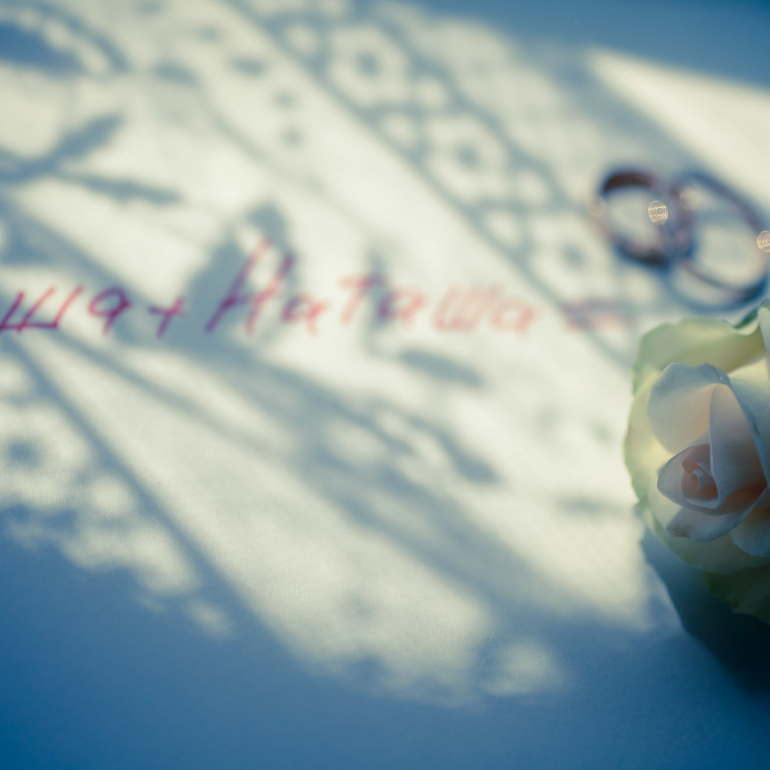 Свадебный фотограф в Ростове-на-Дону. Свадебная фотография в Ростове-н. Максим Матвийченко и Виктория Басова профессионалы своего дела