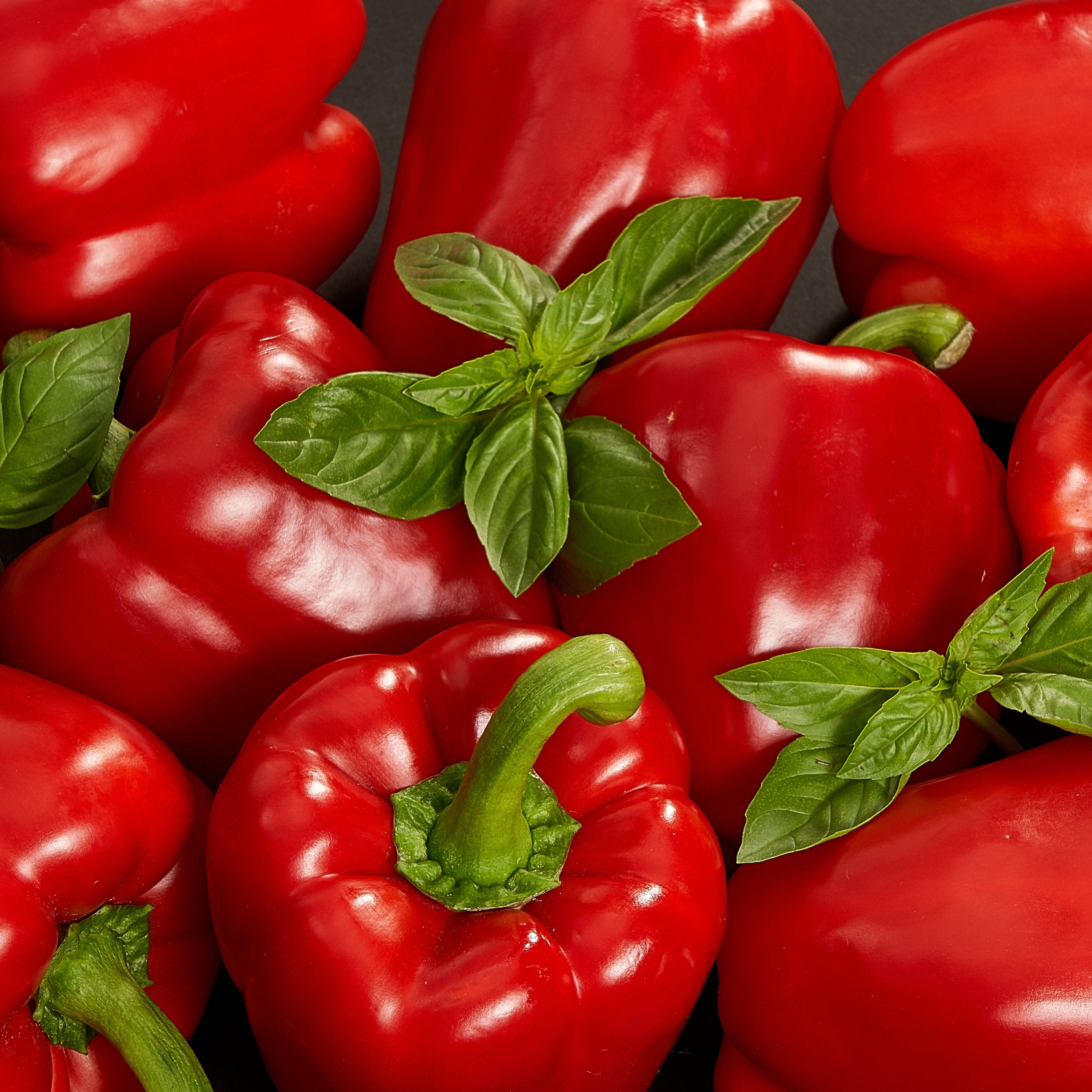 Без обработки. Max Matvich and Victoria Basova are professionals in their field