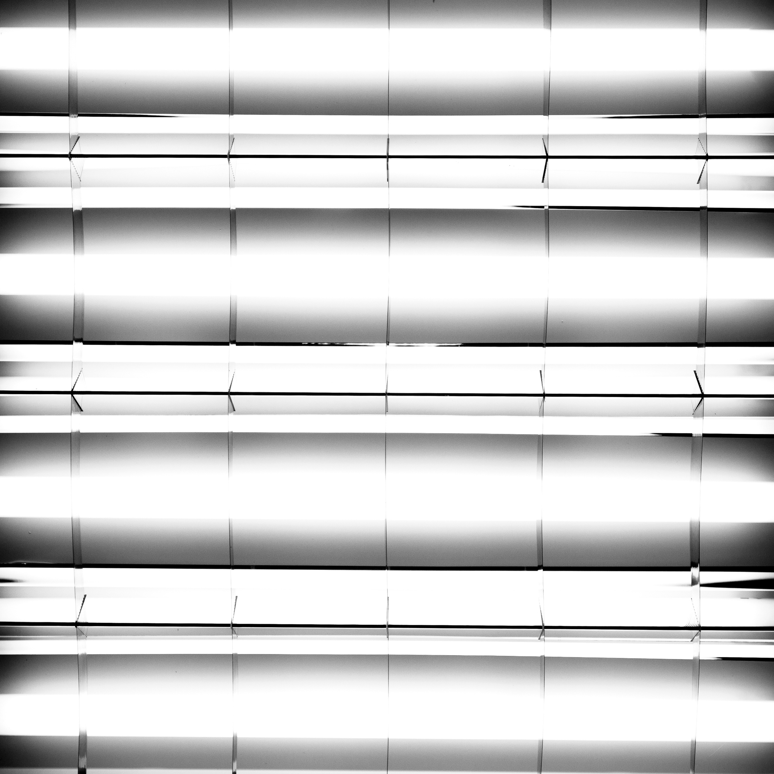 Работы студентов. Начальный уровень (1 и 2 ступень) . "Основы фото-мастерства". Максим Матвийченко и Виктория Басова профессионалы своего дела