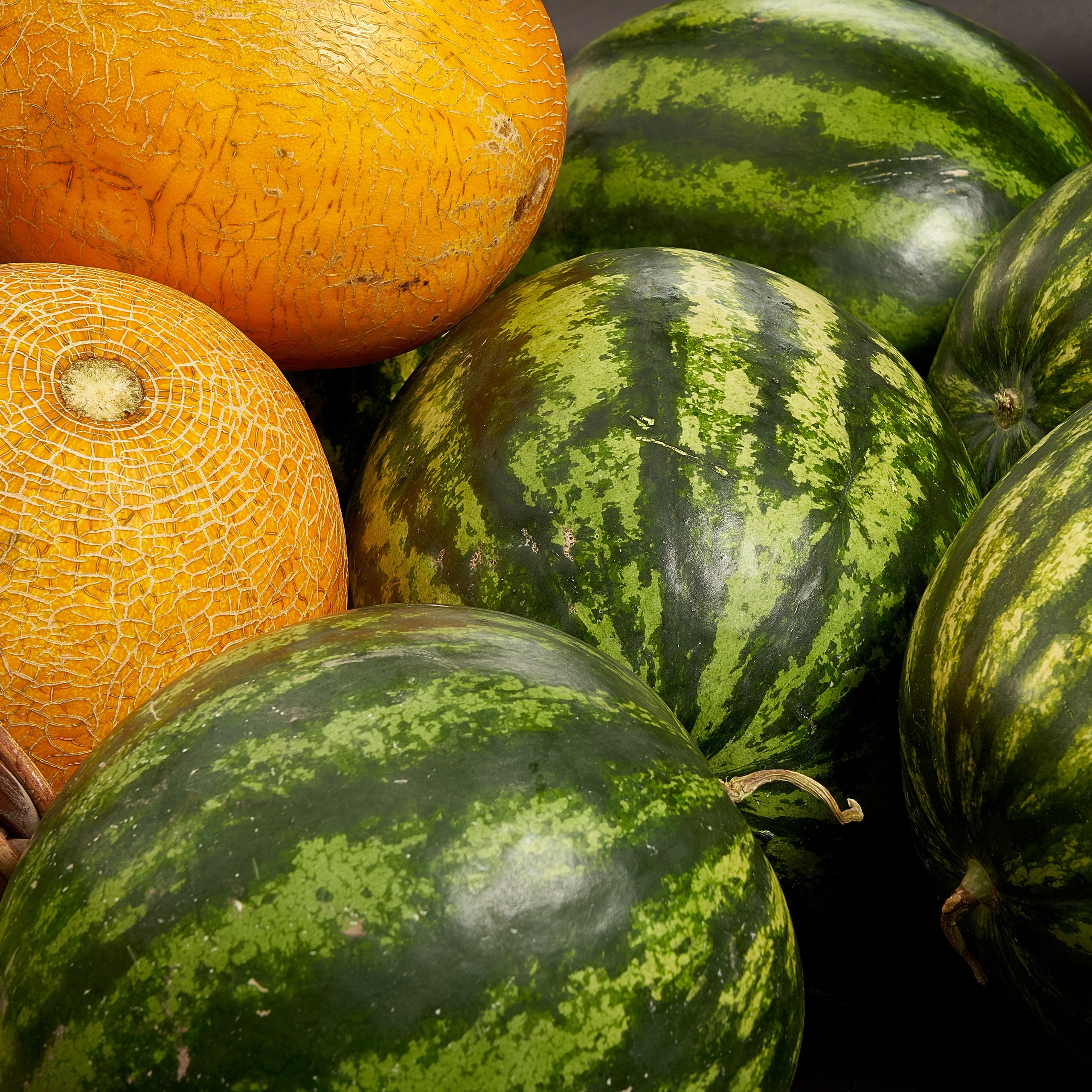 Для МАРКЕТПЛЕЙСОВ. Максим Матвийченко и Виктория Басова профессионалы своего дела