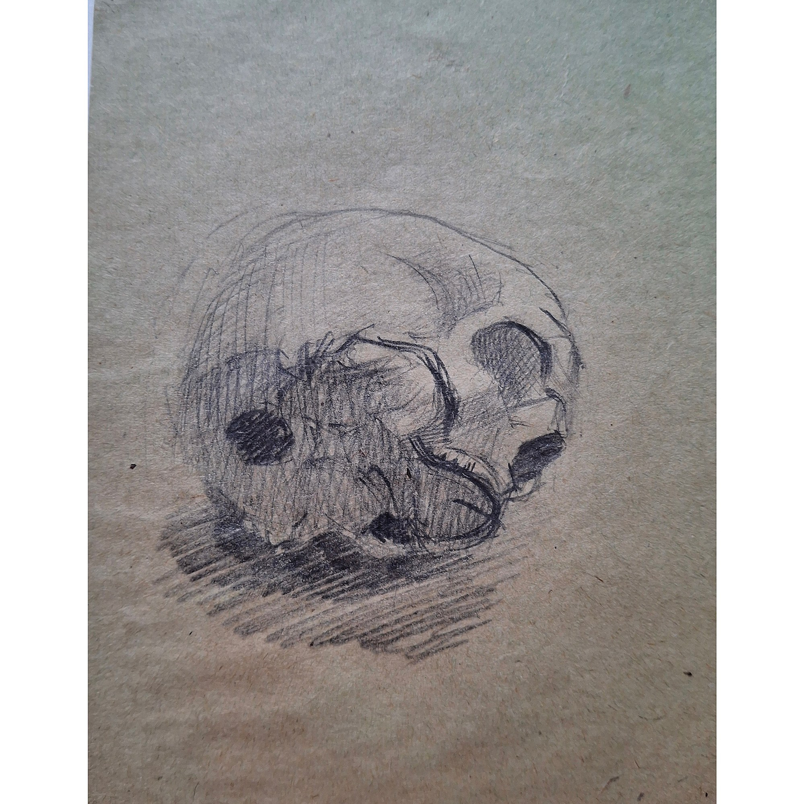 Arts & sketches. Max Matvich and Victoria Basova are professionals in their field