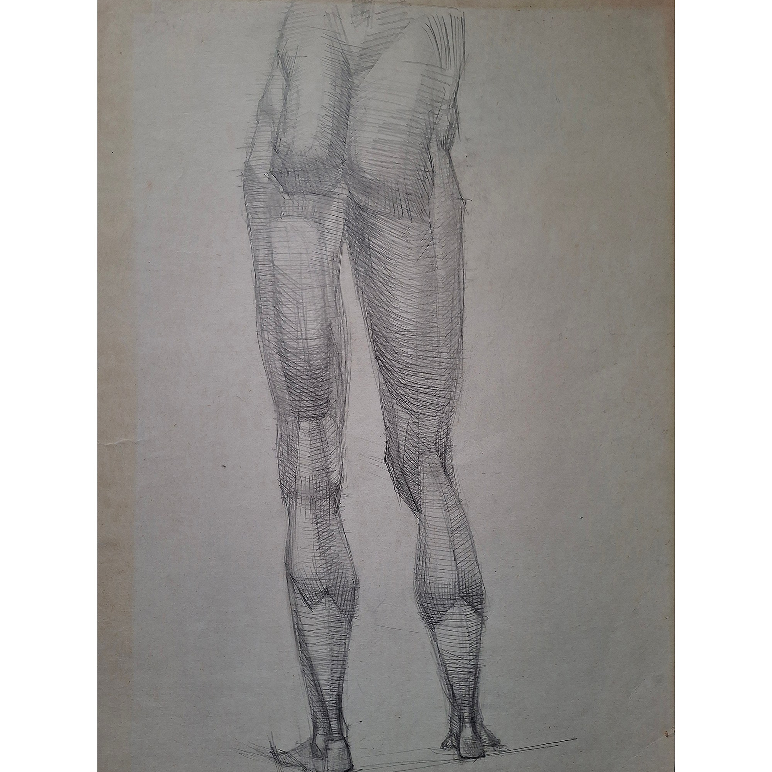 Arts & sketches. Max Matvich and Victoria Basova are professionals in their field