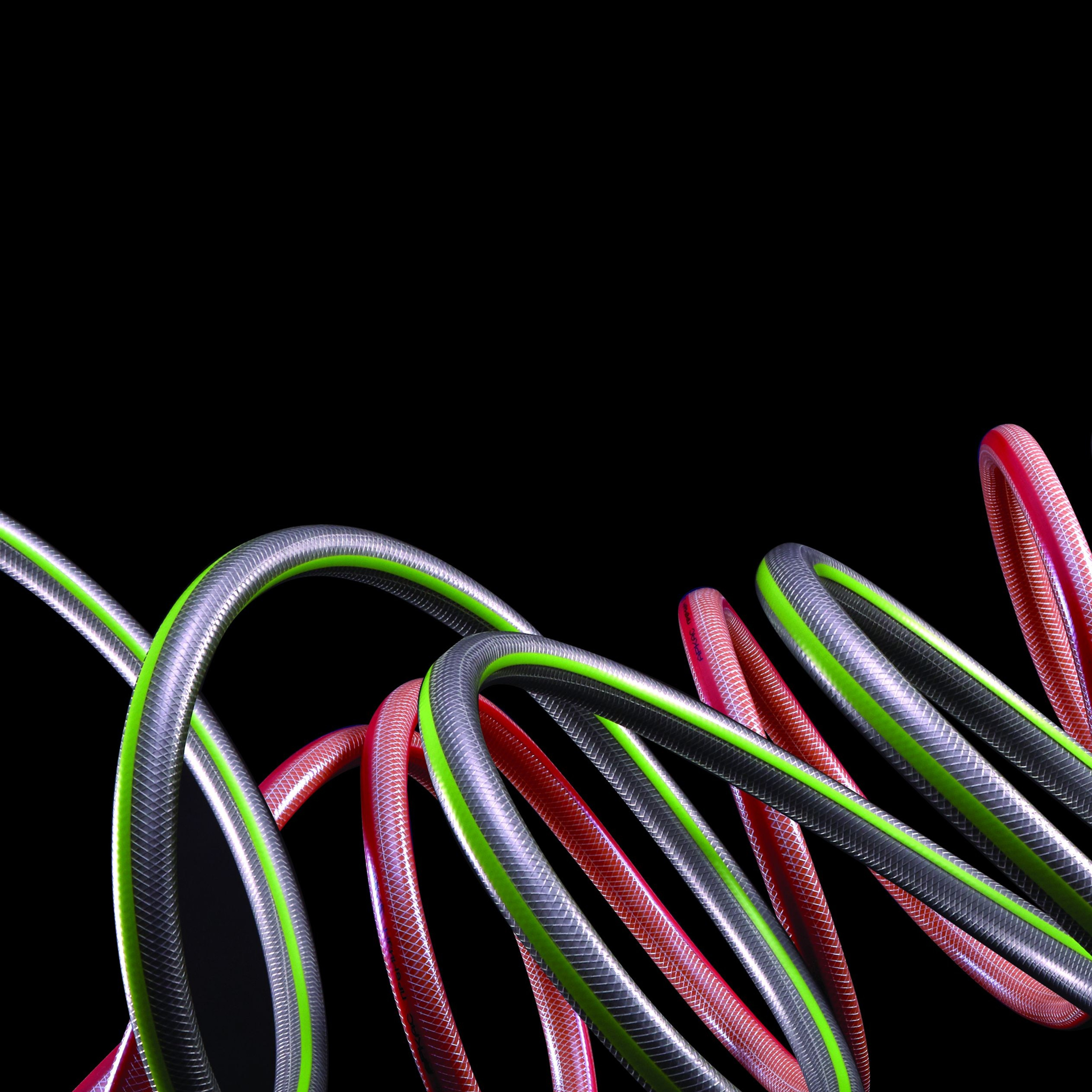 Без обработки. Max Matvich and Victoria Basova are professionals in their field