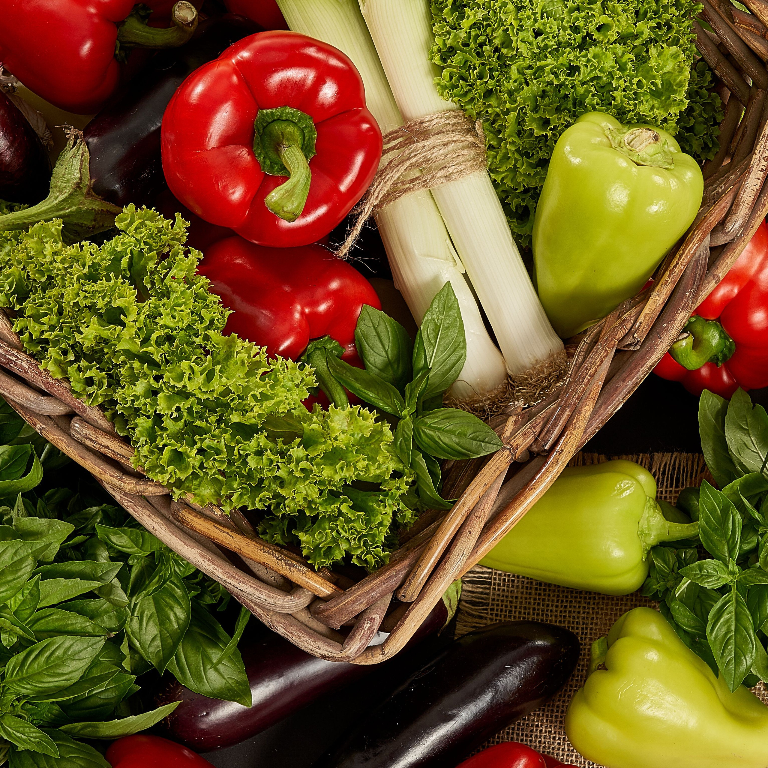 Для МАРКЕТПЛЕЙСОВ. Максим Матвийченко и Виктория Басова профессионалы своего дела