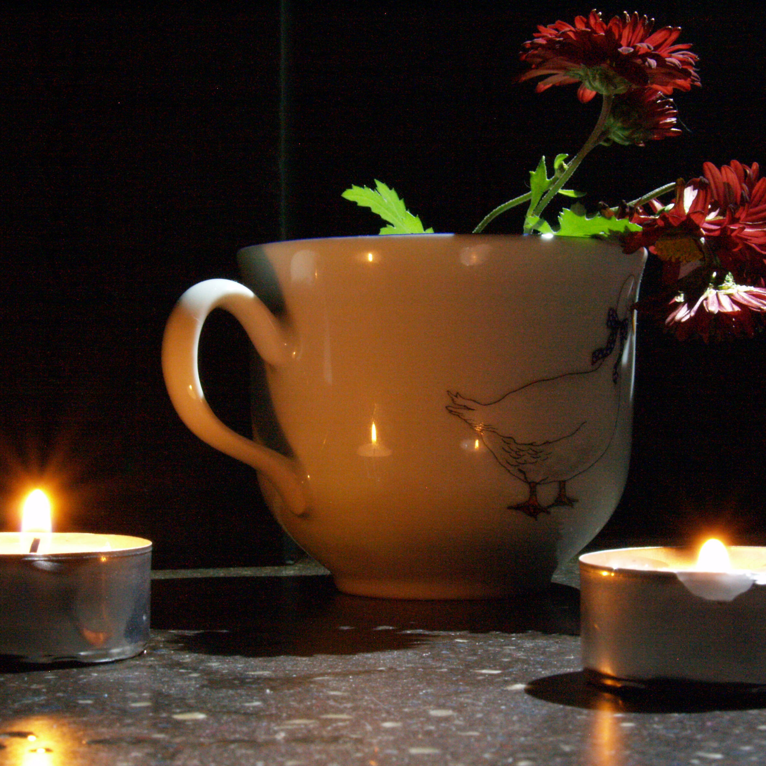 Работы студентов. Начальный уровень (1 и 2 ступень) . "Основы фото-мастерства". Максим Матвийченко и Виктория Басова профессионалы своего дела