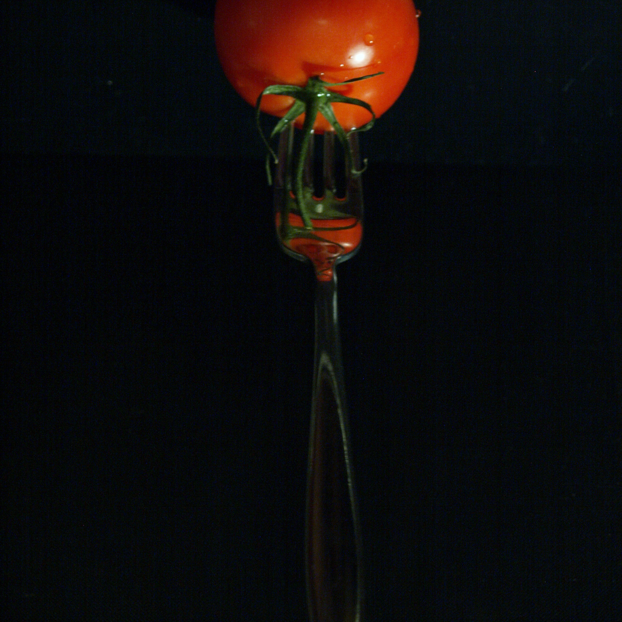 Работы студентов. Начальный уровень (1 и 2 ступень) . "Основы фото-мастерства". Максим Матвийченко и Виктория Басова профессионалы своего дела