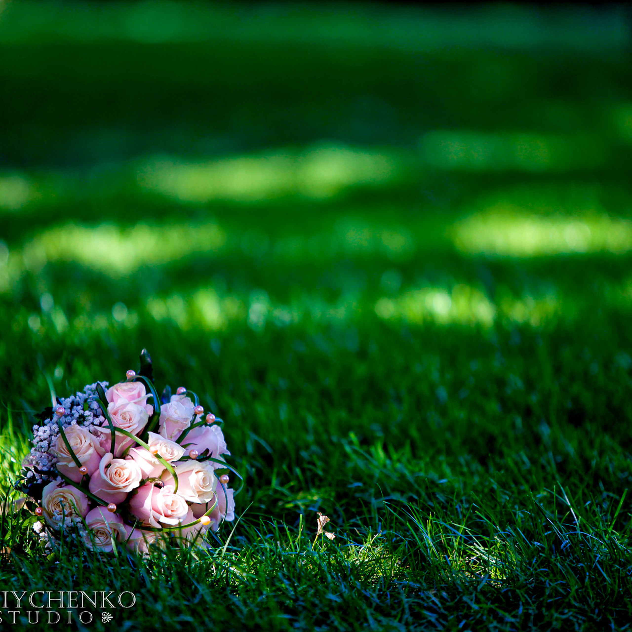Свадебный фотограф в Ростове-на-Дону. Свадебная фотография в Ростове-н. Максим Матвийченко и Виктория Басова профессионалы своего дела