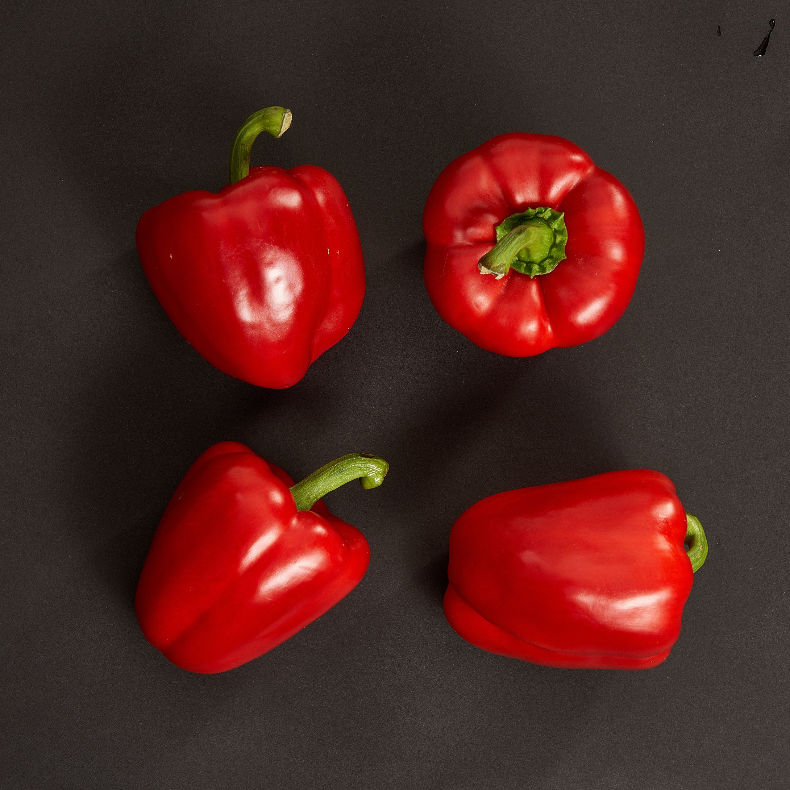 Без обработки. Max Matvich and Victoria Basova are professionals in their field