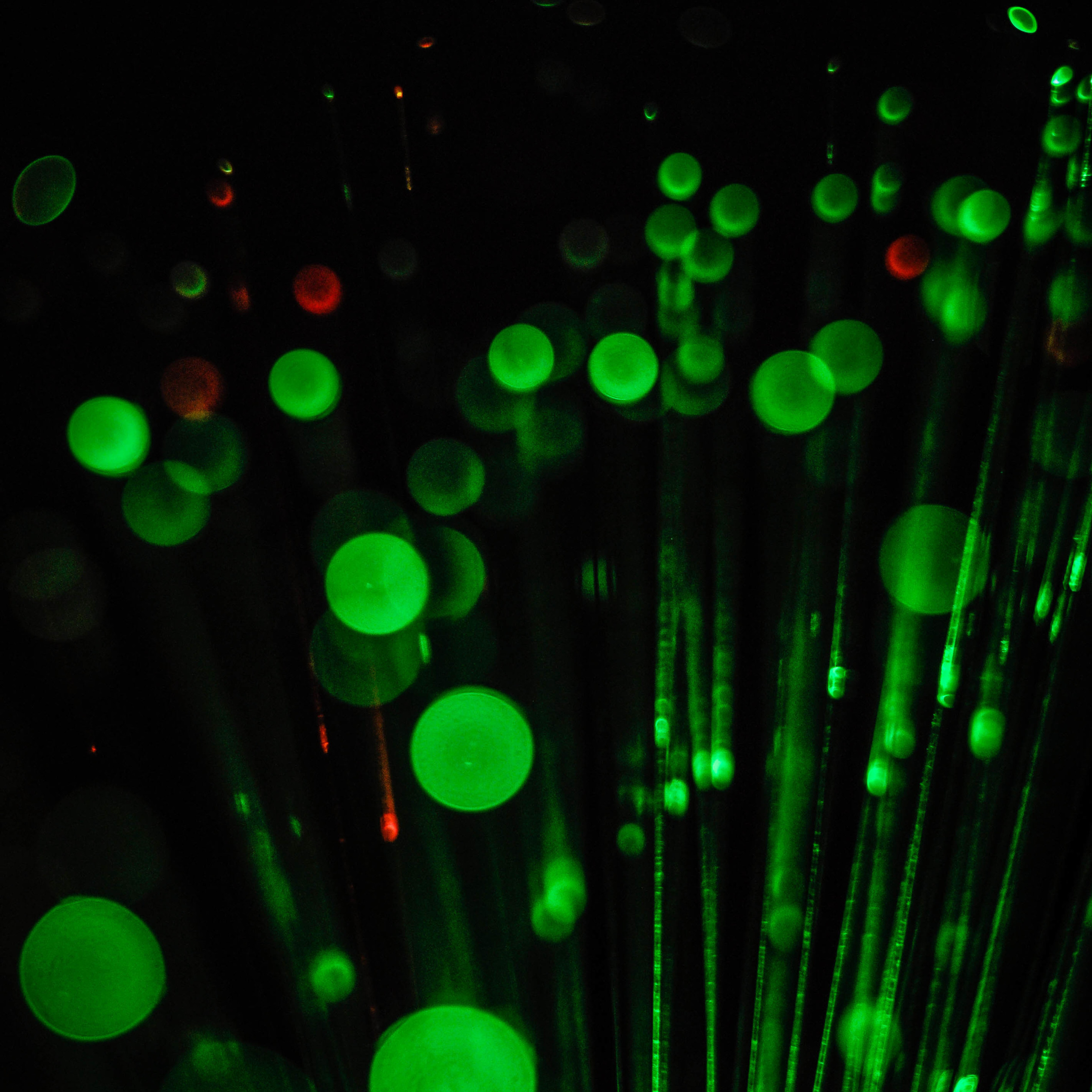 Работы студентов. Продвинутый уровень (1 и 2 ступень) . Интенсив "Художественно…. Максим Матвийченко и Виктория Басова профессионалы своего дела