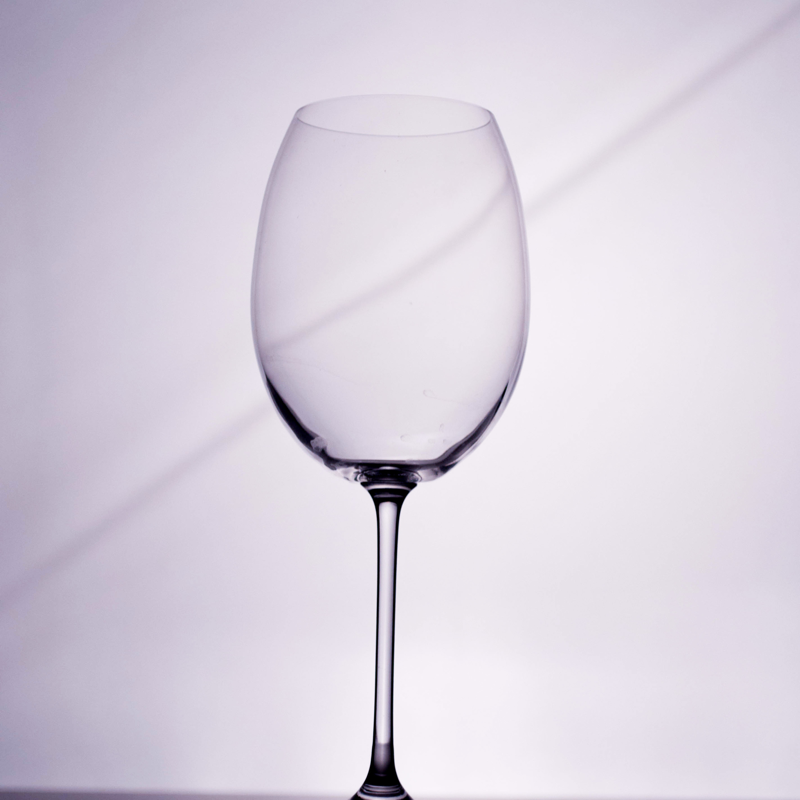 Работы студентов. Начальный уровень (1 и 2 ступень) . "Основы фото-мастерства". Максим Матвийченко и Виктория Басова профессионалы своего дела