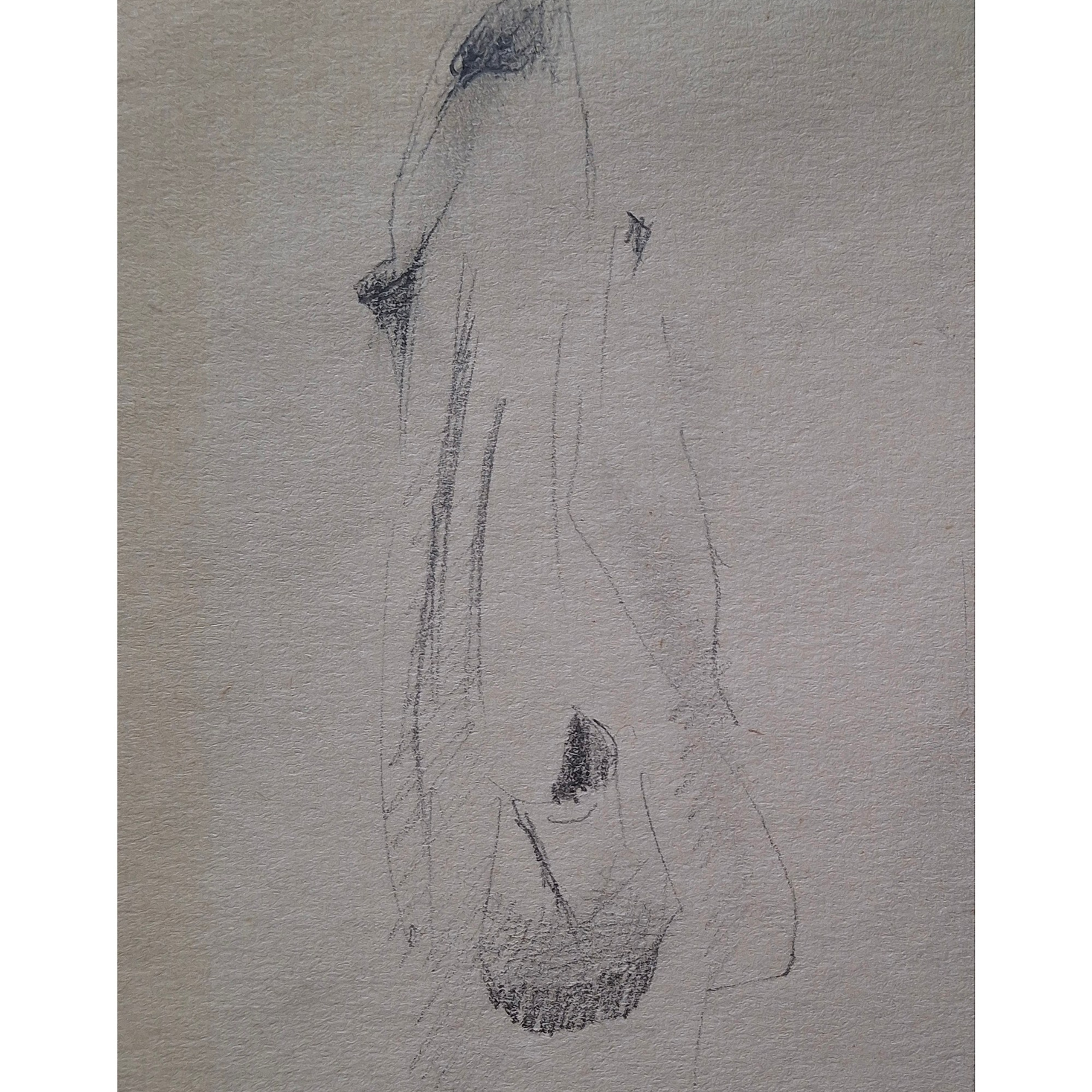 Arts & sketches. Max Matvich and Victoria Basova are professionals in their field