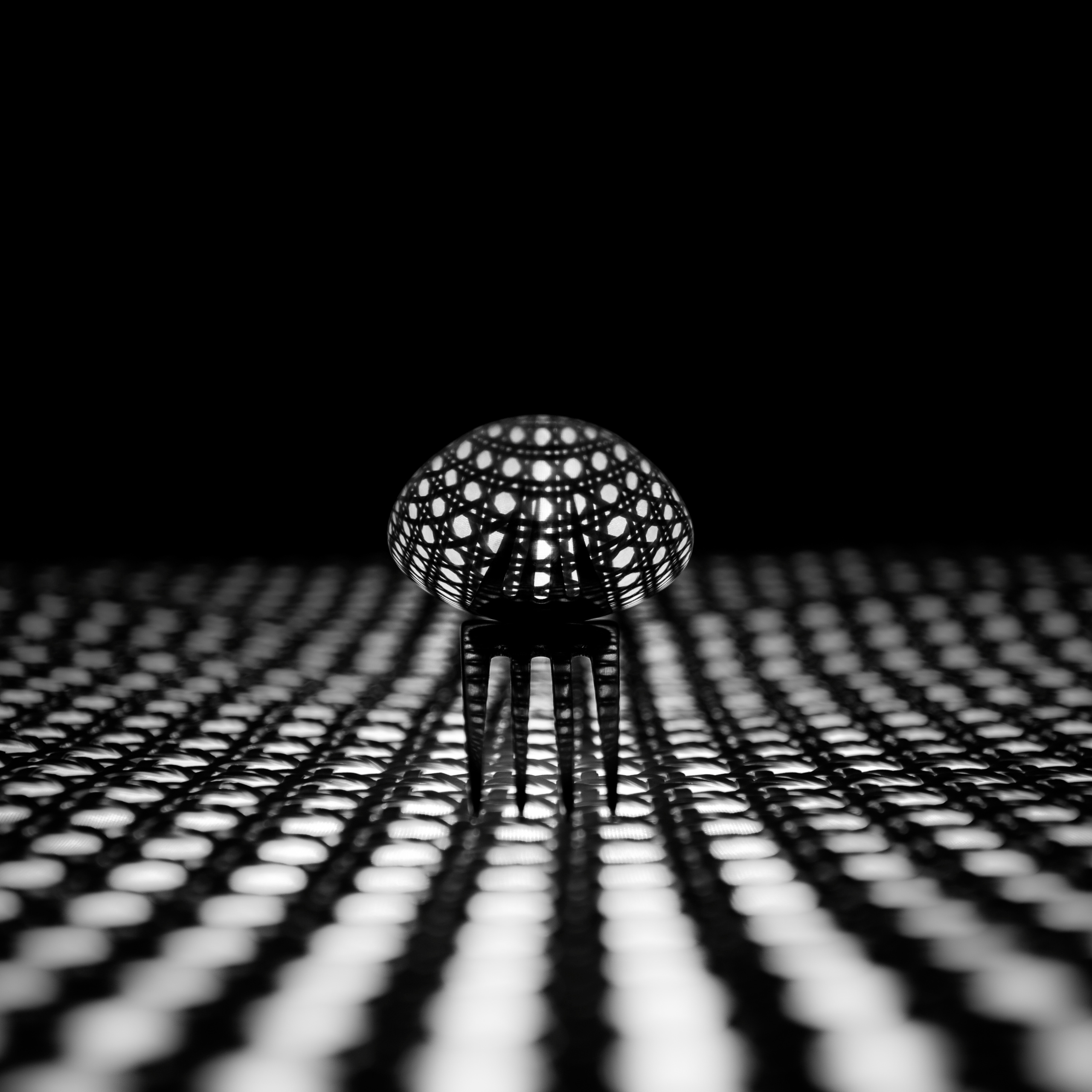 Работы студентов. Начальный уровень (1 и 2 ступень) . "Основы фото-мастерства". Максим Матвийченко и Виктория Басова профессионалы своего дела