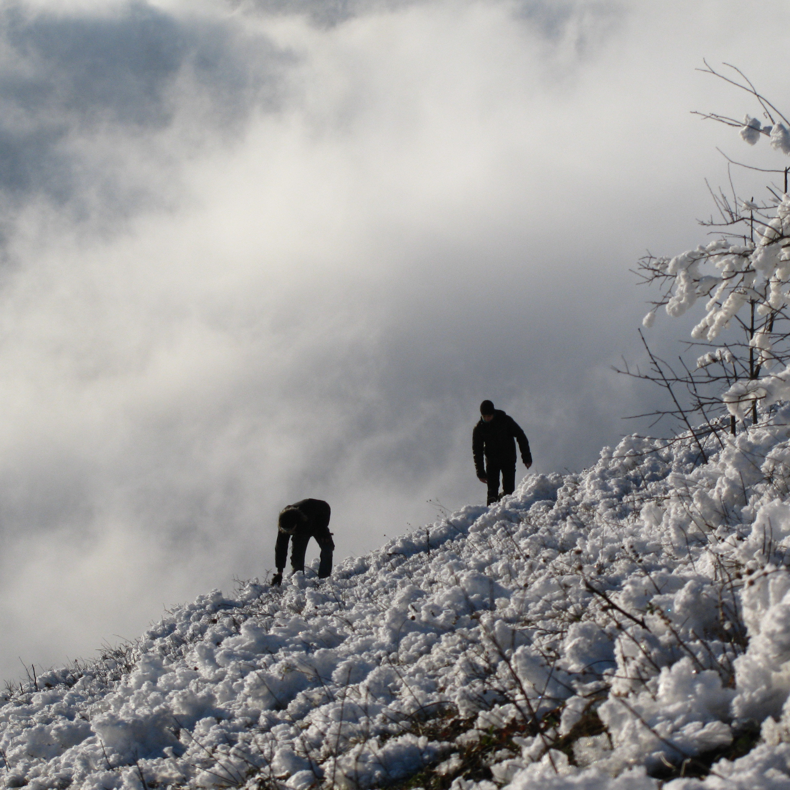 Работы студентов. Продвинутый уровень (1 и 2 ступень) . Интенсив "Художественно…. Максим Матвийченко и Виктория Басова профессионалы своего дела