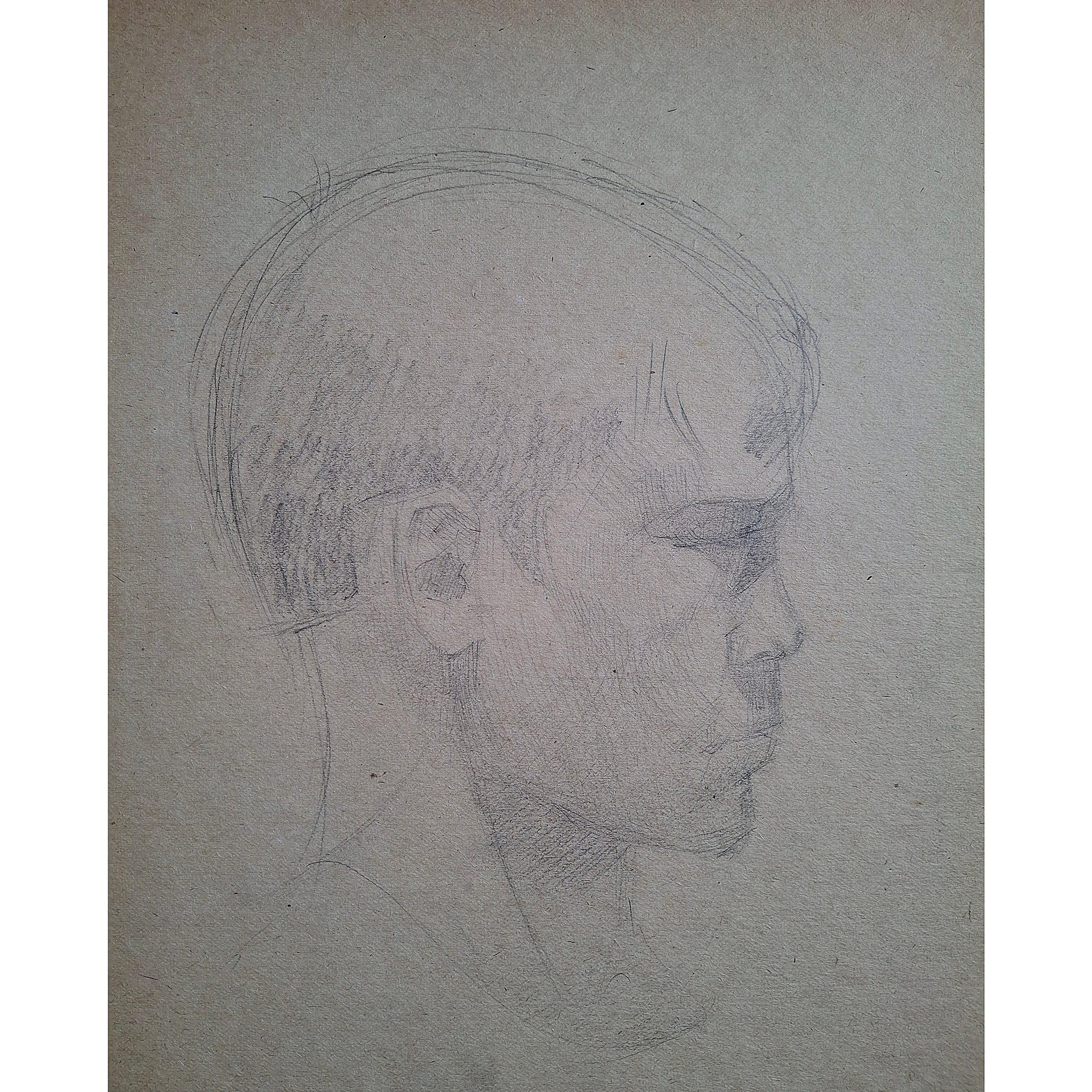 Arts & sketches. Max Matvich and Victoria Basova are professionals in their field